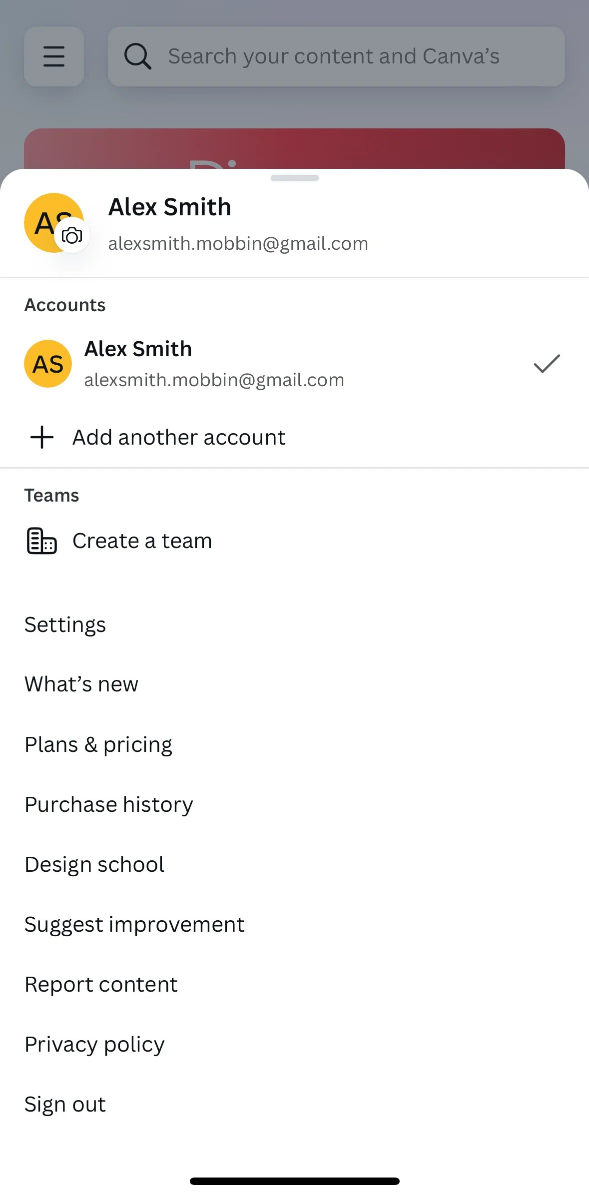 Canva Screen screen in the Privacy policy flow
