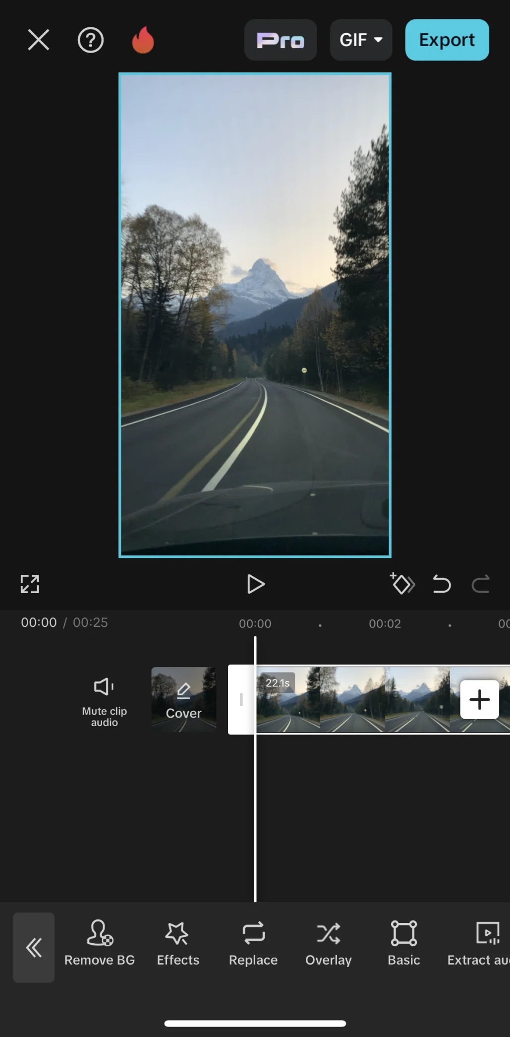 CapCut Screen screen in the Removing background flow