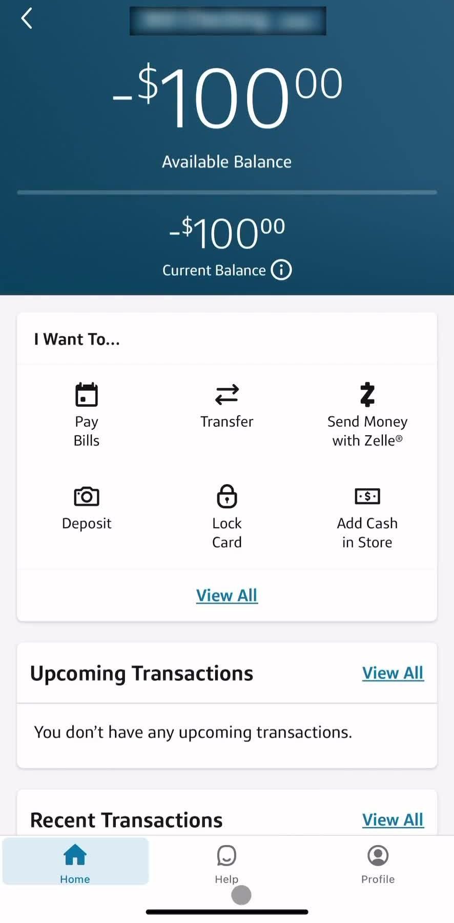 Capital One Home screen in the Support flow