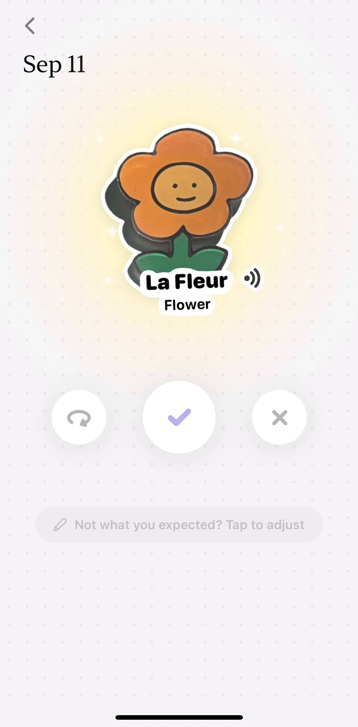 CapWords Screen screen in the Editing an object name flow