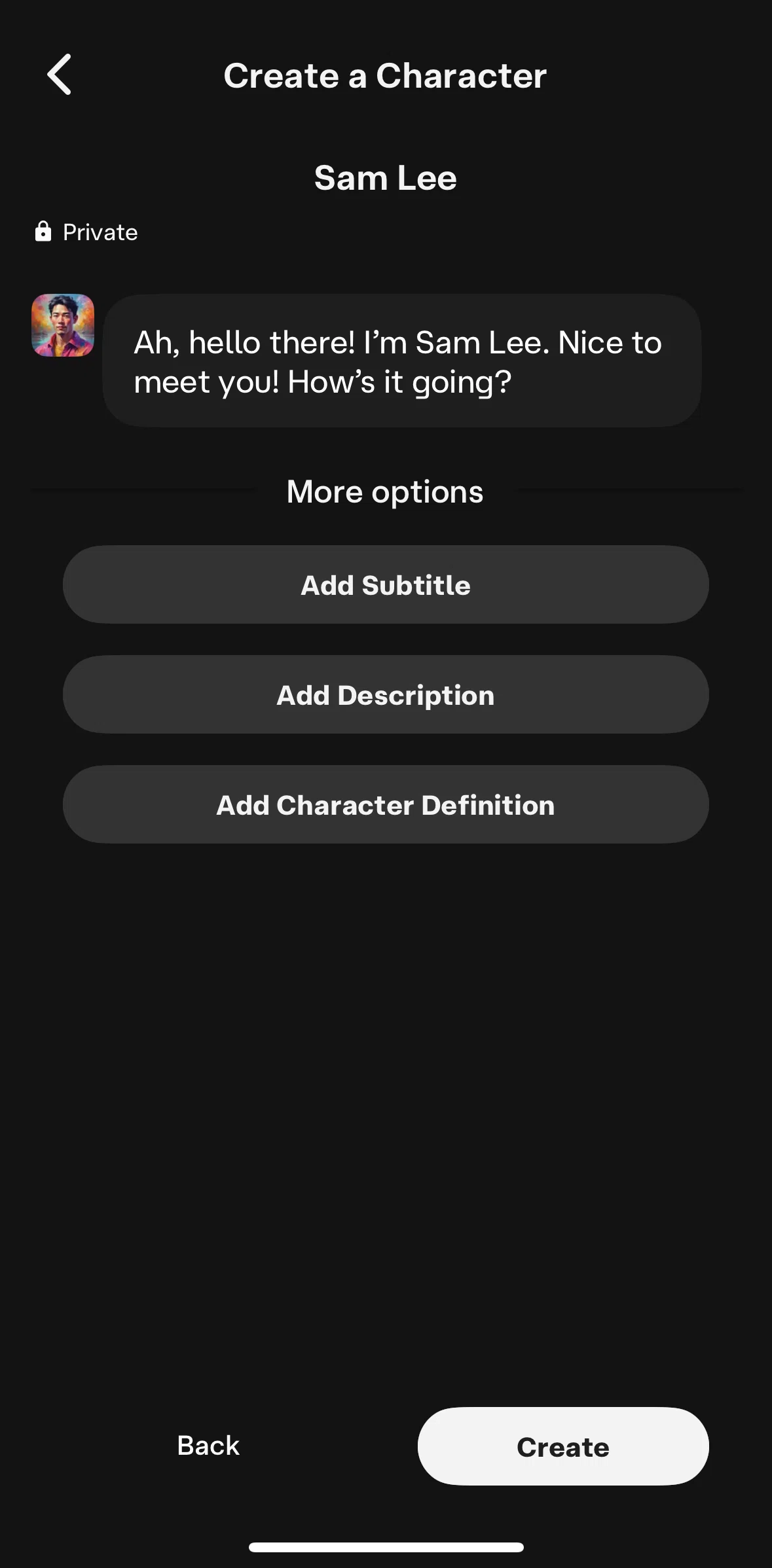 Character AI Screen screen in the Adding character descriptions flow