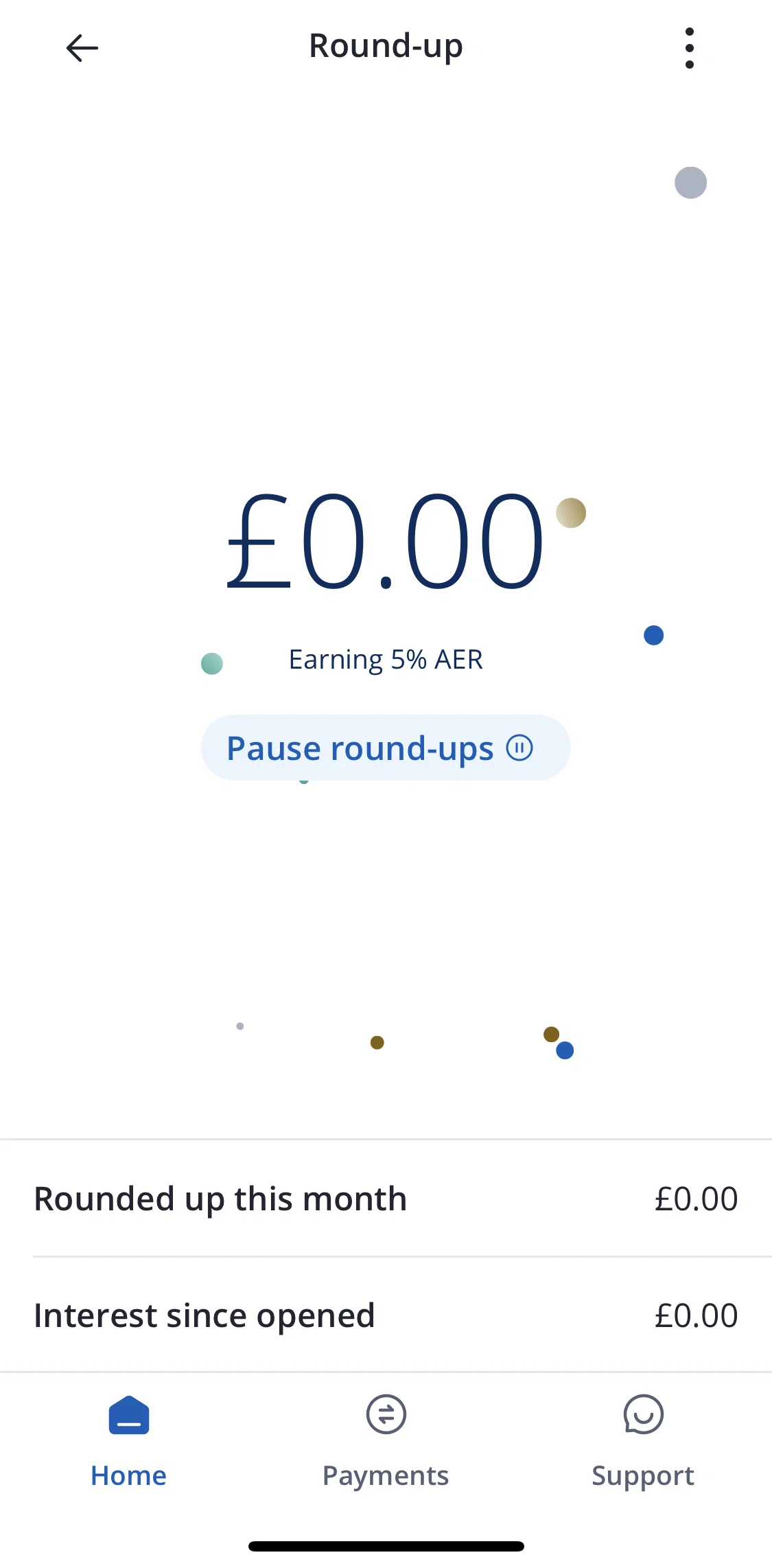 Chase UK Screen screen in the Pausing round-ups flow