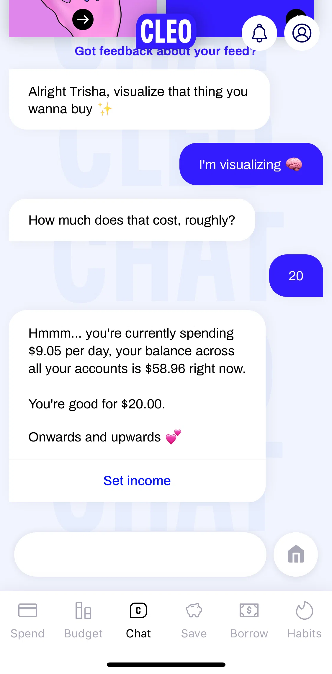 Cleo Screen screen in the Adding income flow