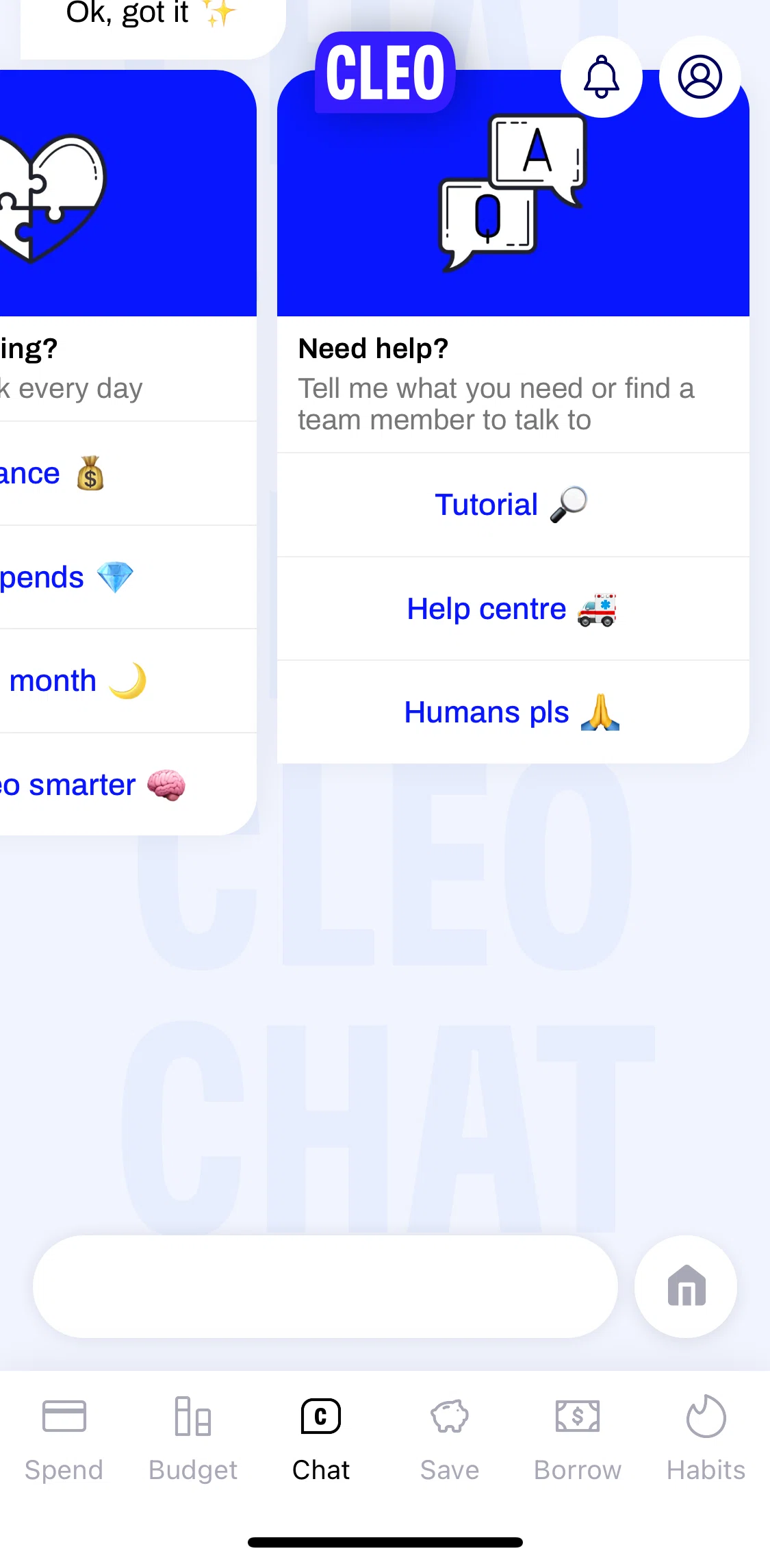 Cleo Screen screen in the Help centre flow
