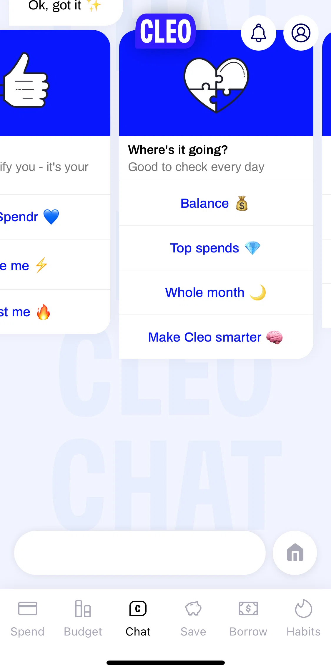 Cleo Screen screen in the Make Cleo smarter flow