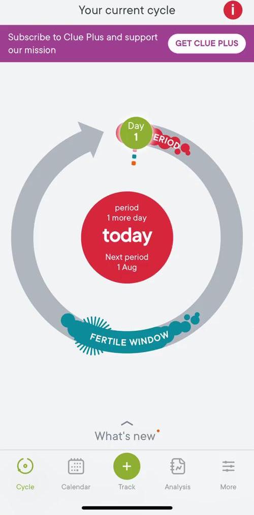 Clue Current cycle screen in the Filtering flow