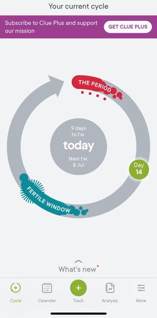 Clue Current cycle screen in the Tracking Activity flow
