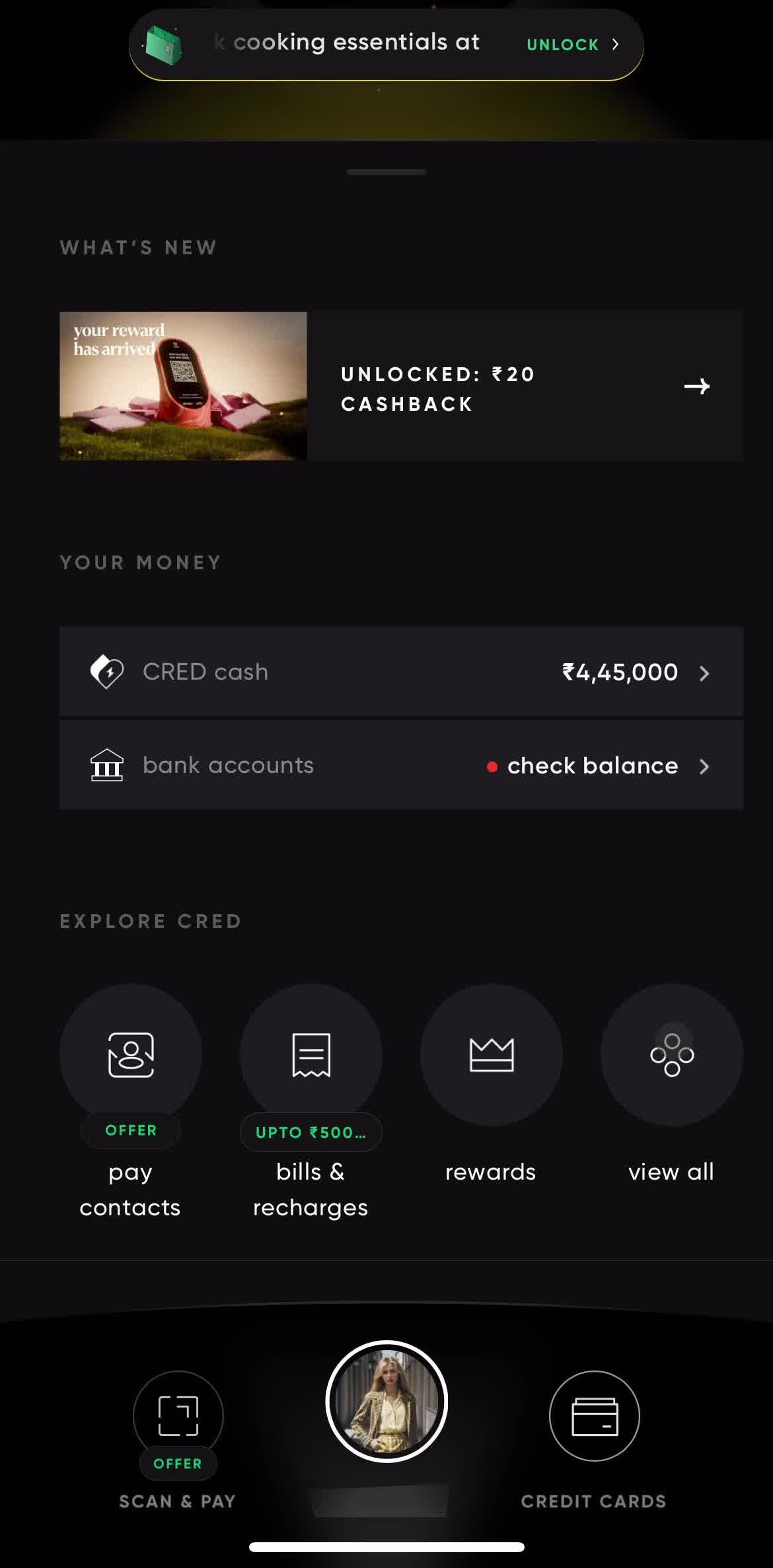 Cred Home screen in the Settings flow
