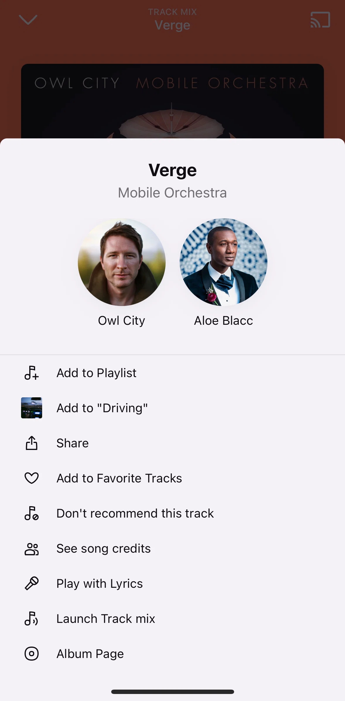 Deezer Screen screen in the Album page flow