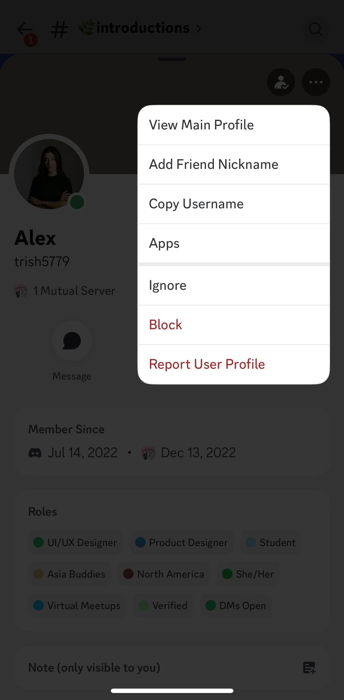 Discord Screen 1 screen in the Adding a nickname flow
