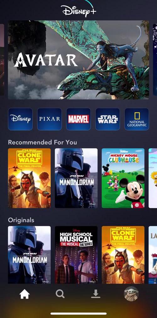 Disney Plus Home screen in the Searching flow