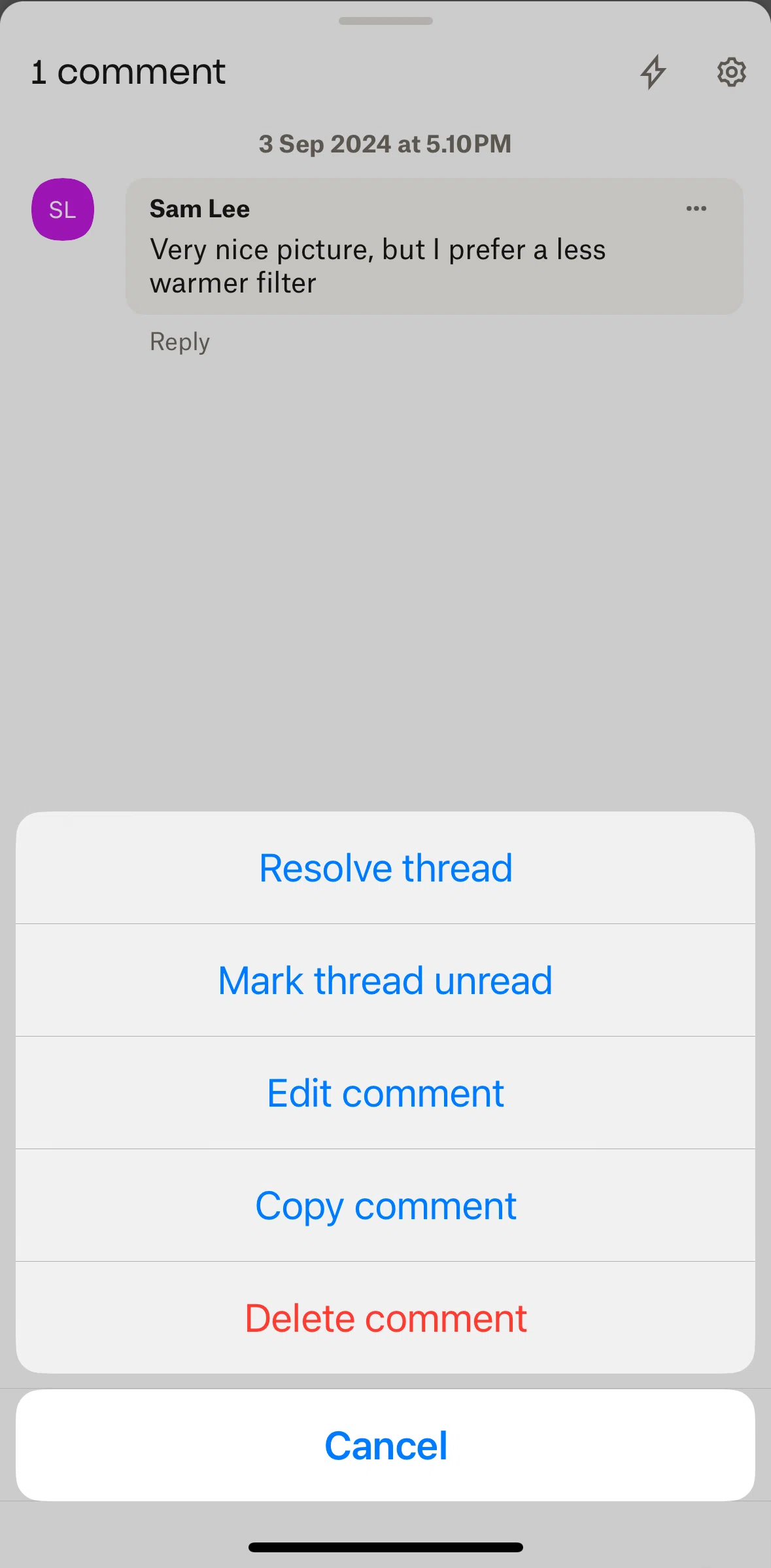 Dropbox Screen 1 screen in the Copying a comment flow
