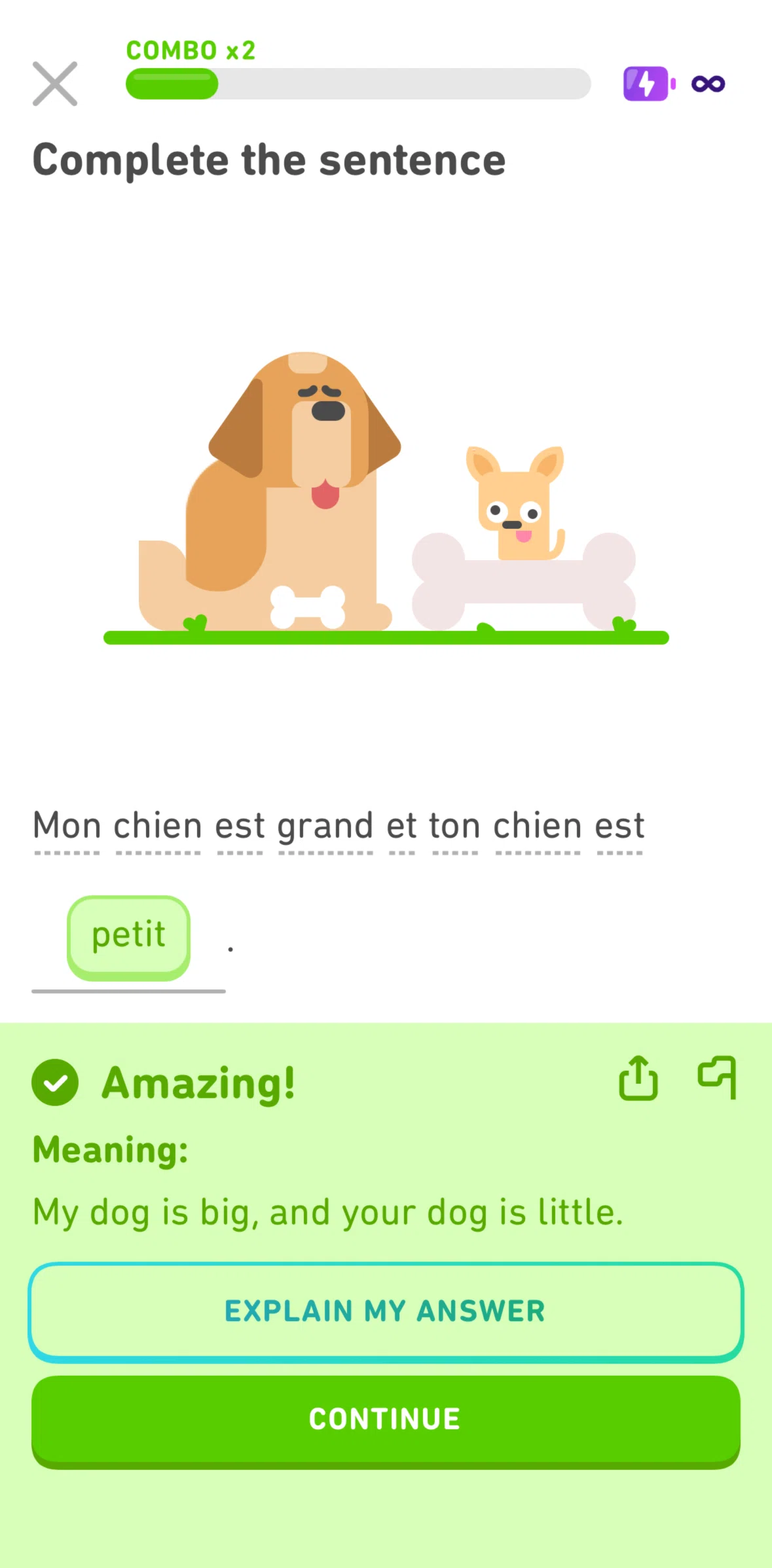 Duolingo Screen screen in the Explain my answer flow