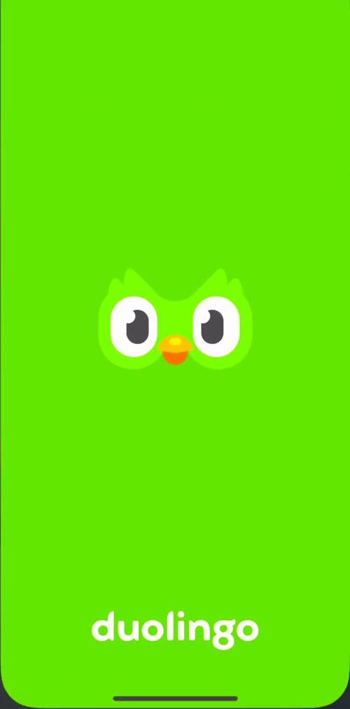 Duolingo Splash screen screen in the Onboarding flow