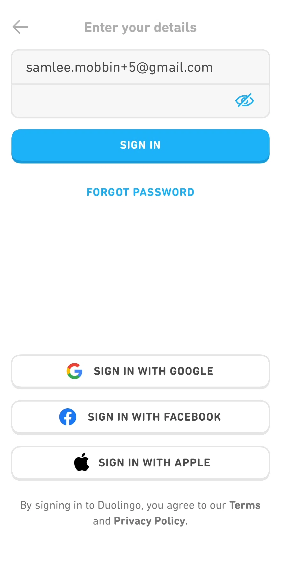 Duolingo Screen screen in the Resetting password flow