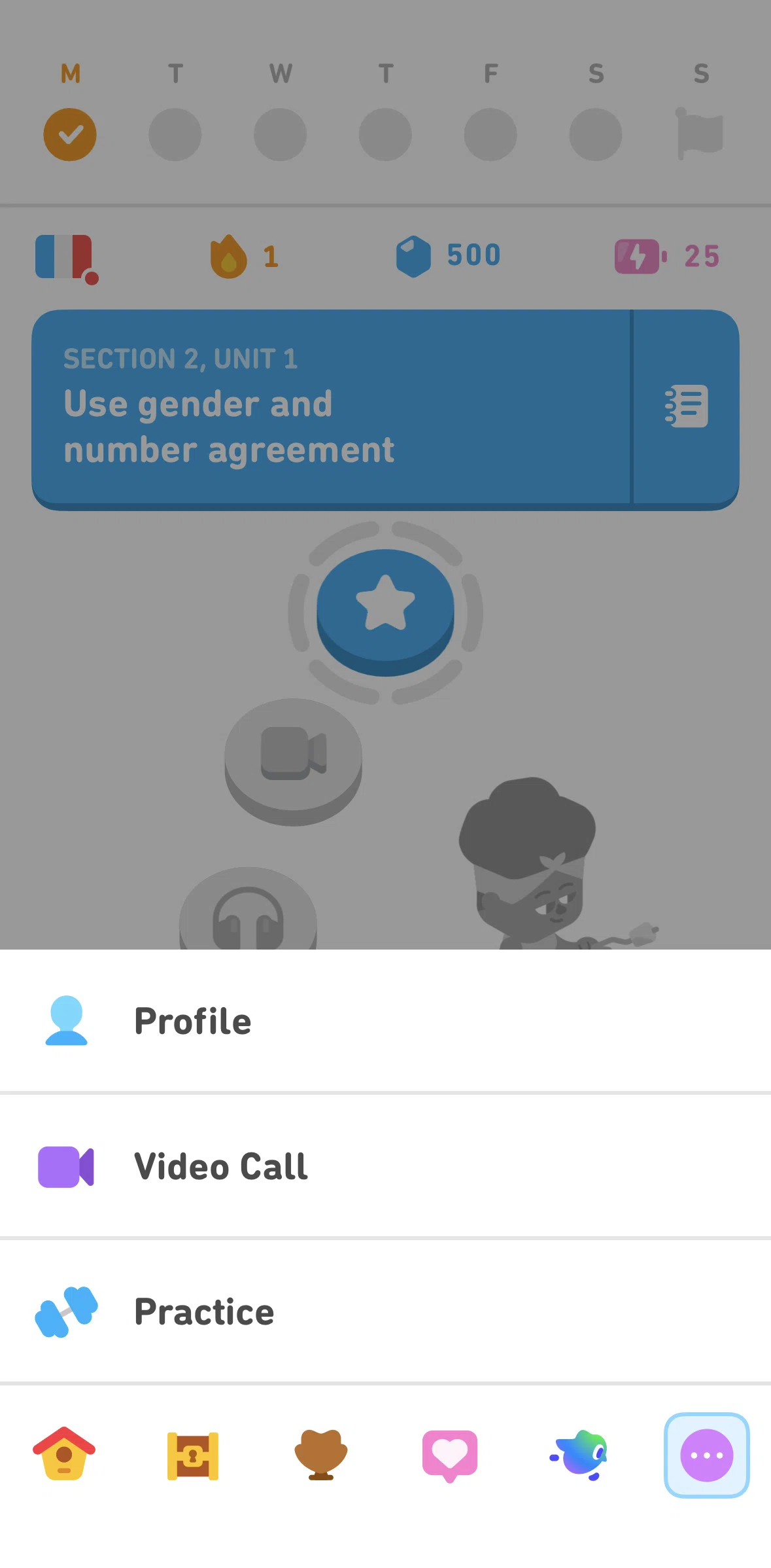 Duolingo Screen screen in the Video call flow