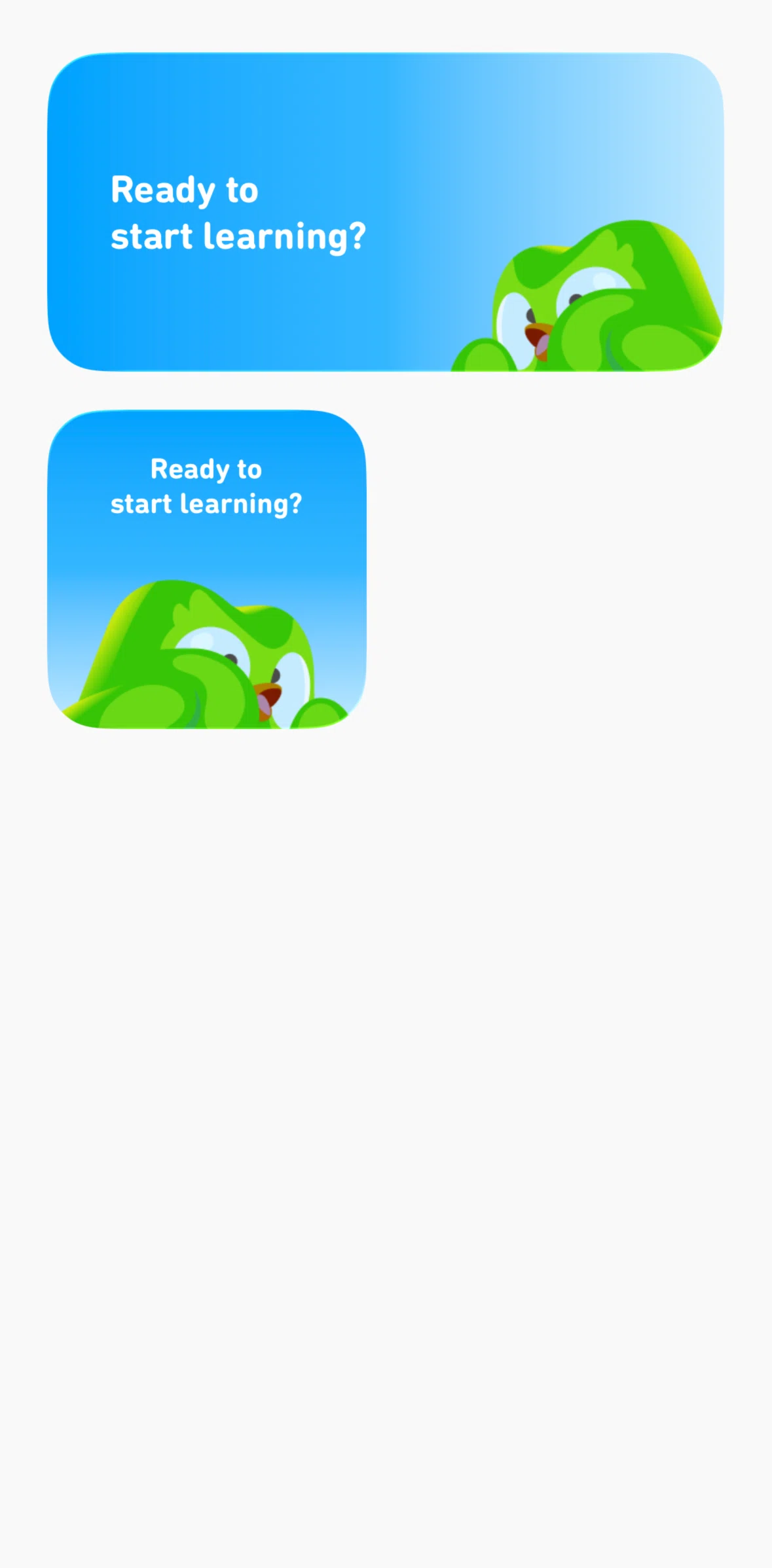 Duolingo Screen screen in the Widgets flow