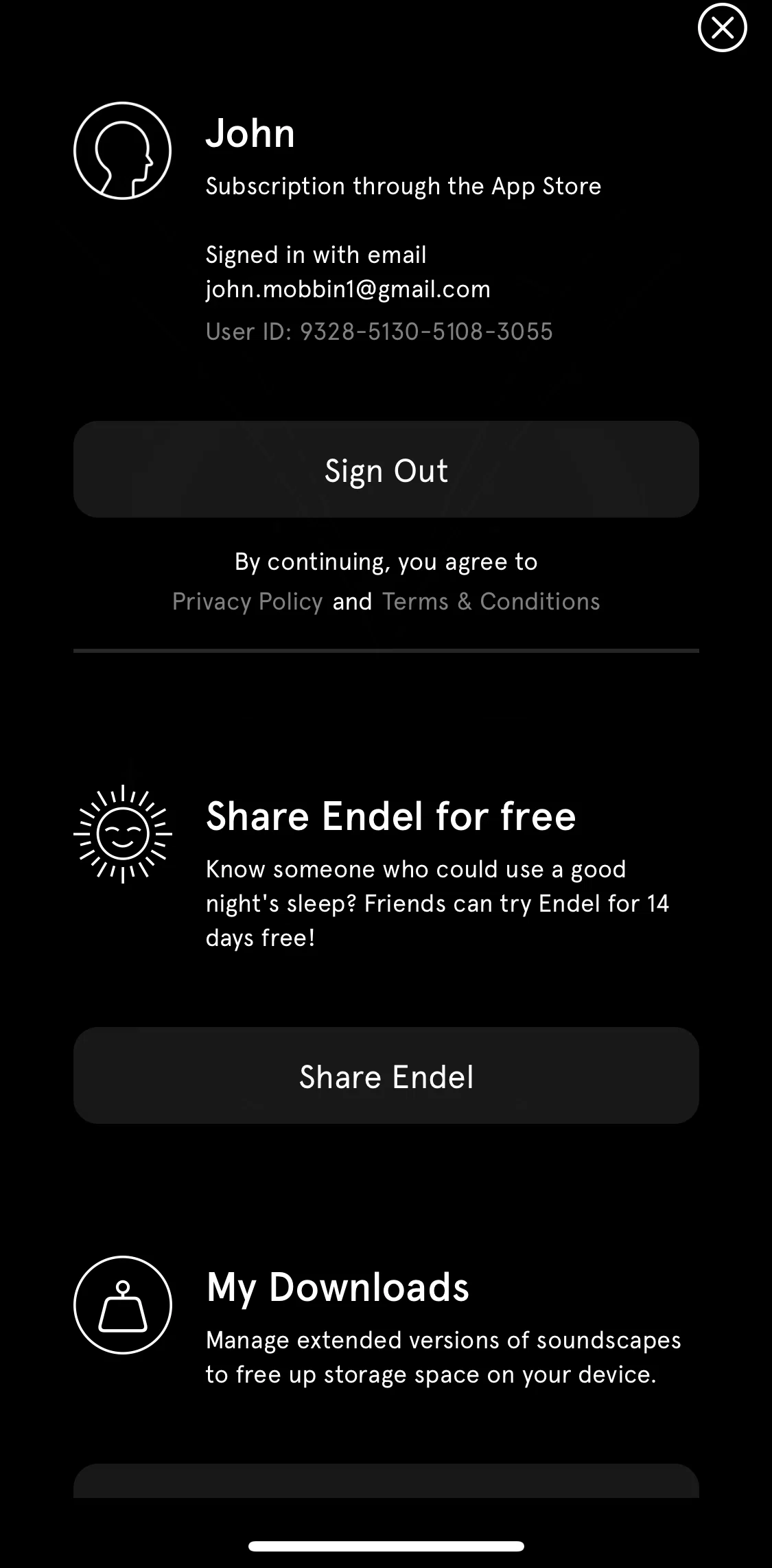 Endel Screen screen in the Logging out flow