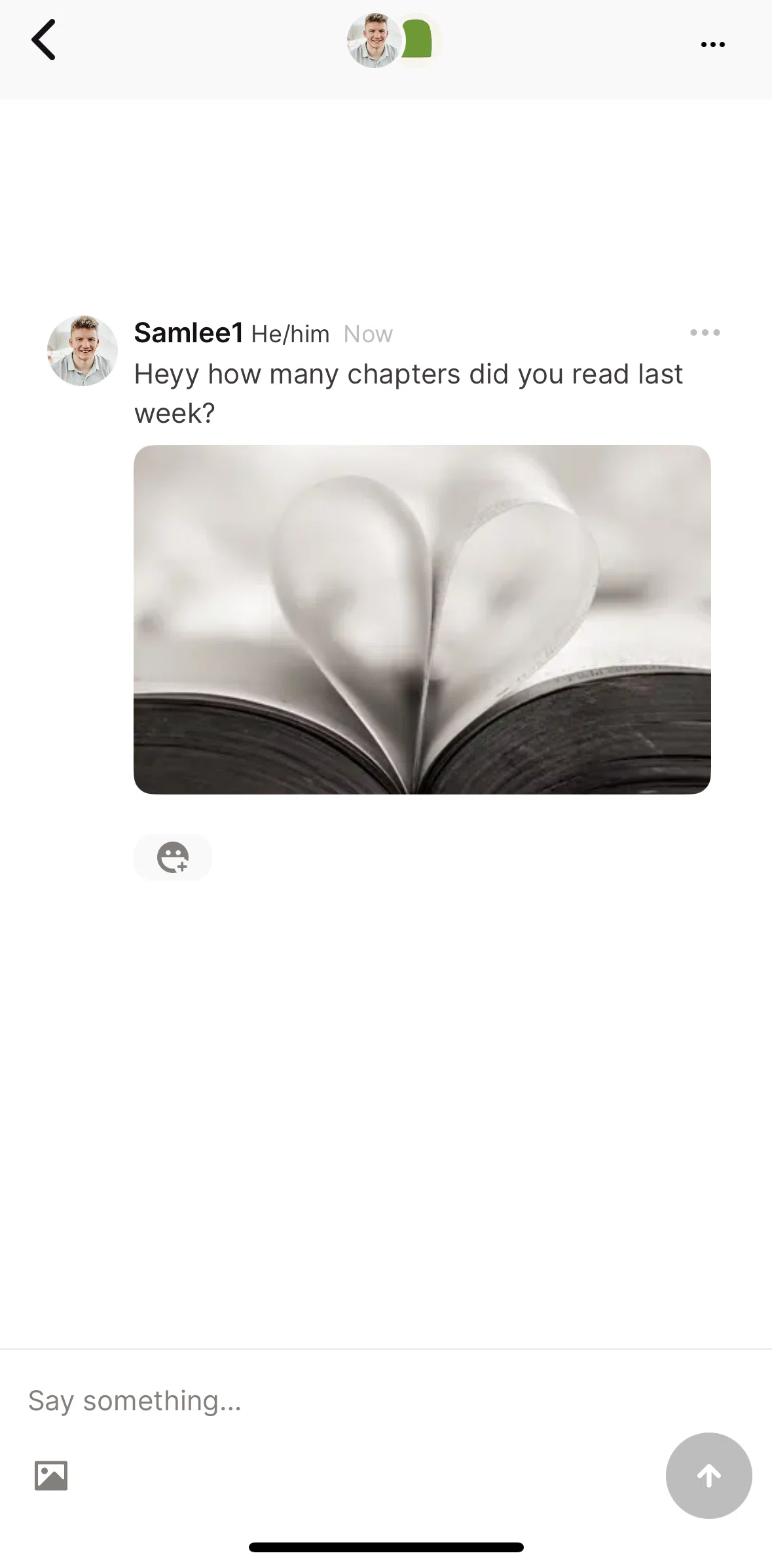 Fable Screen screen in the Deleting a chat flow