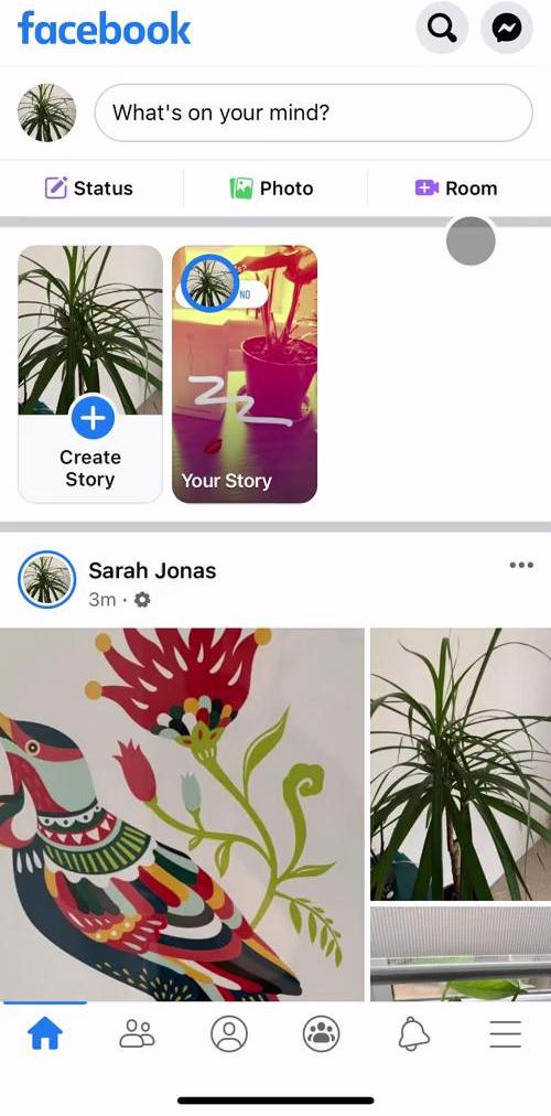 Facebook Home screen in the Commenting flow