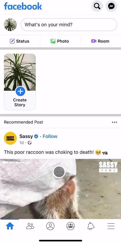 Facebook Home screen in the Creating A Post flow
