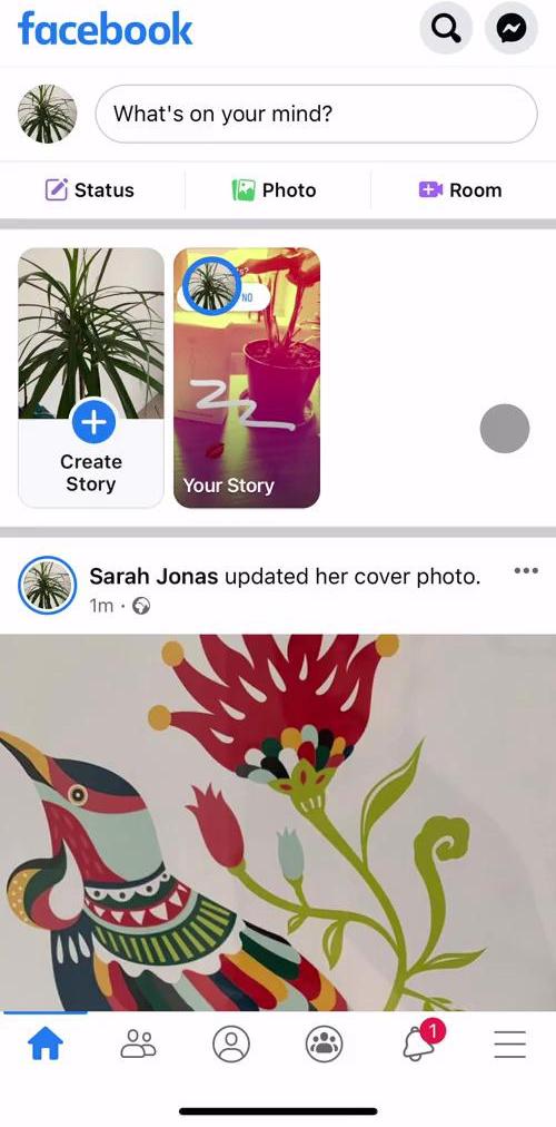 Facebook Home screen in the General Browsing flow