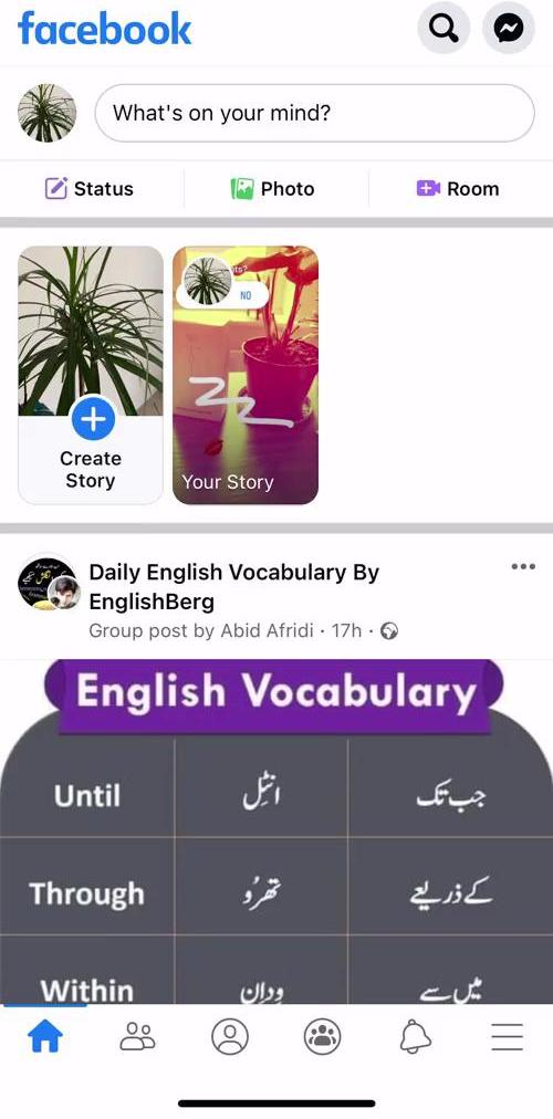 Facebook Home screen in the Saving flow