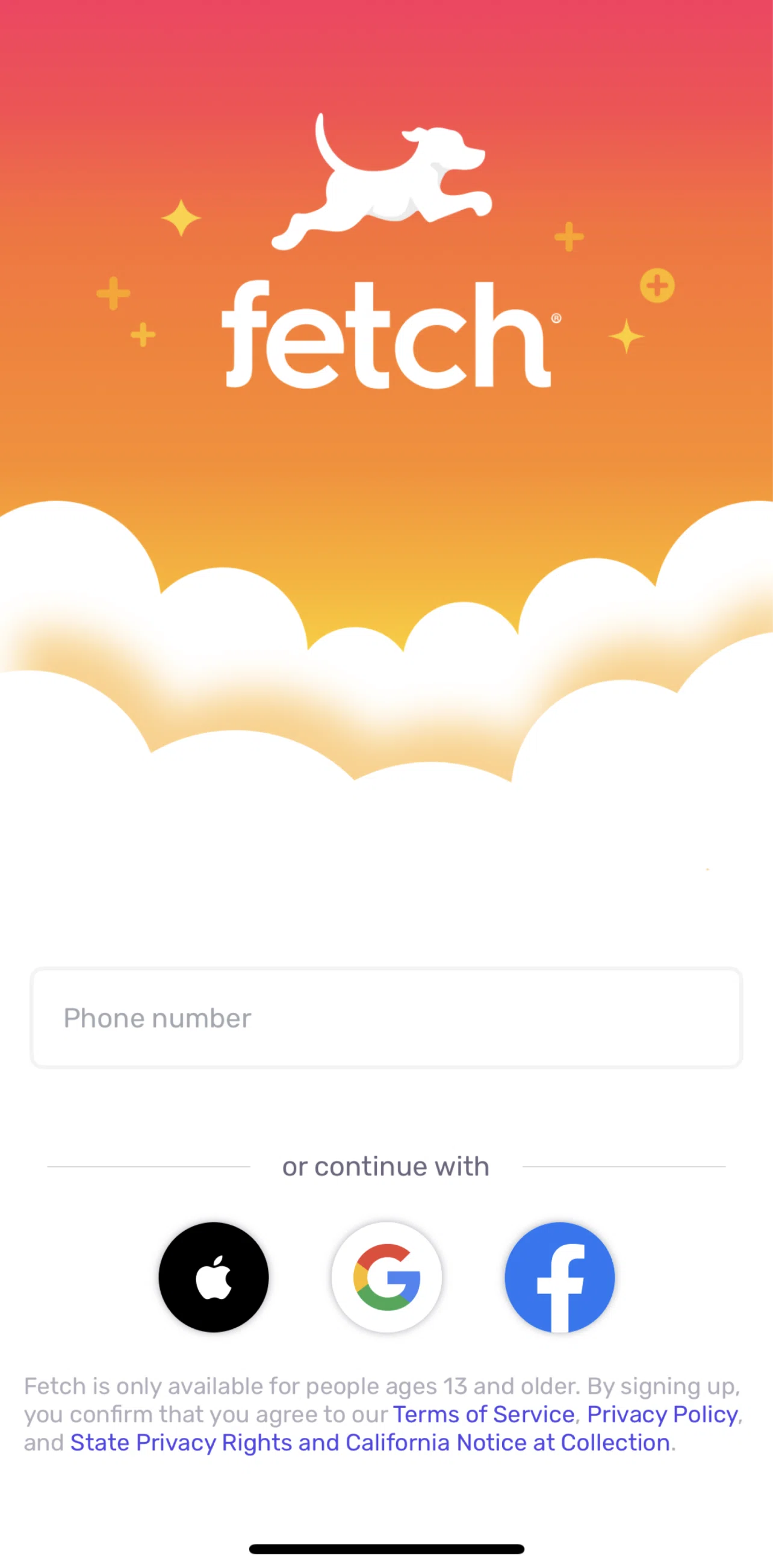 Fetch Screen screen in the Logging in flow