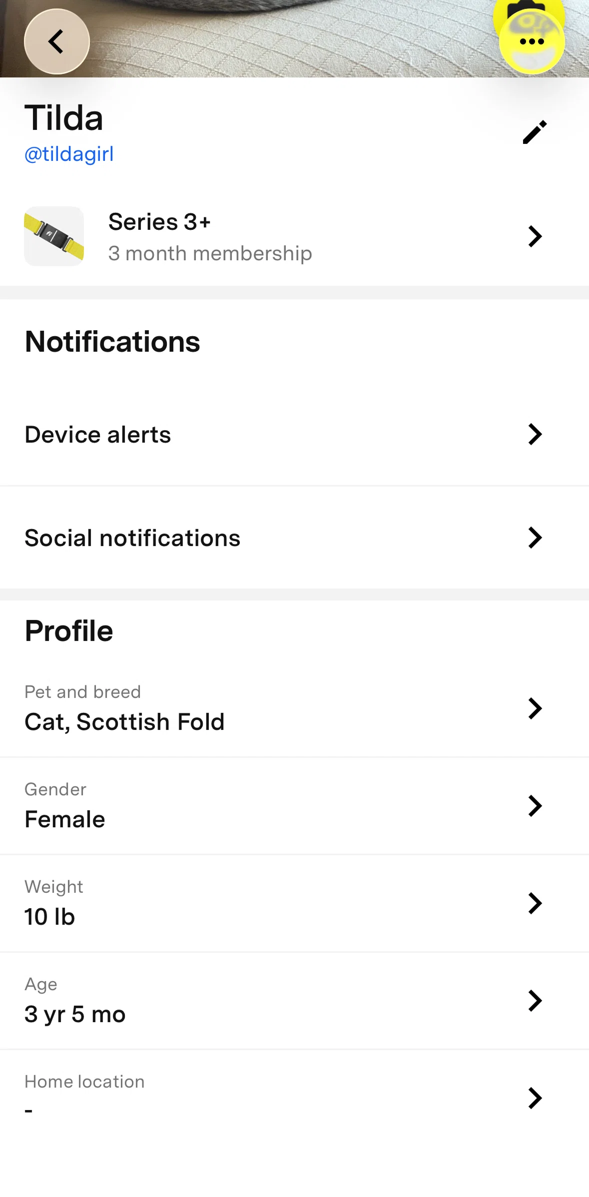Fi Screen screen in the Changing pet gender flow