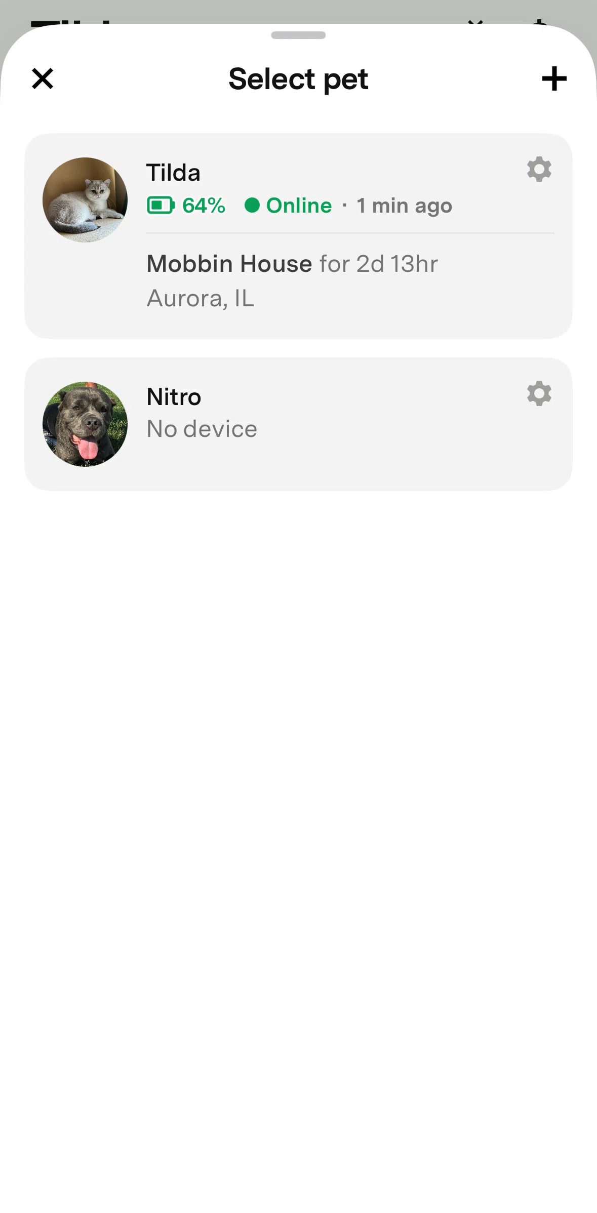 Fi Screen screen in the Home (Dog) flow