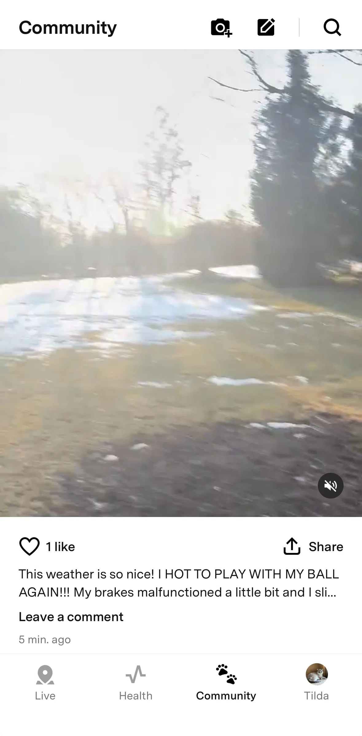 Fi Screen screen in the Liking a post flow