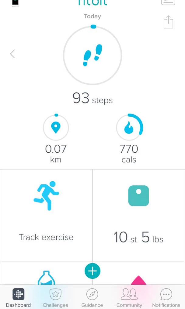 Fitbit Dashboard screen in the Analytics Stats flow