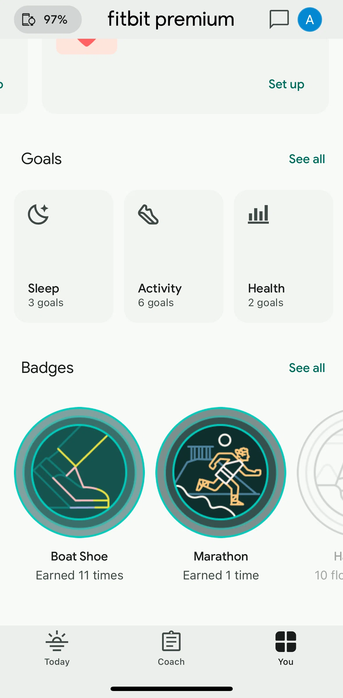Fitbit Screen screen in the Badge details flow