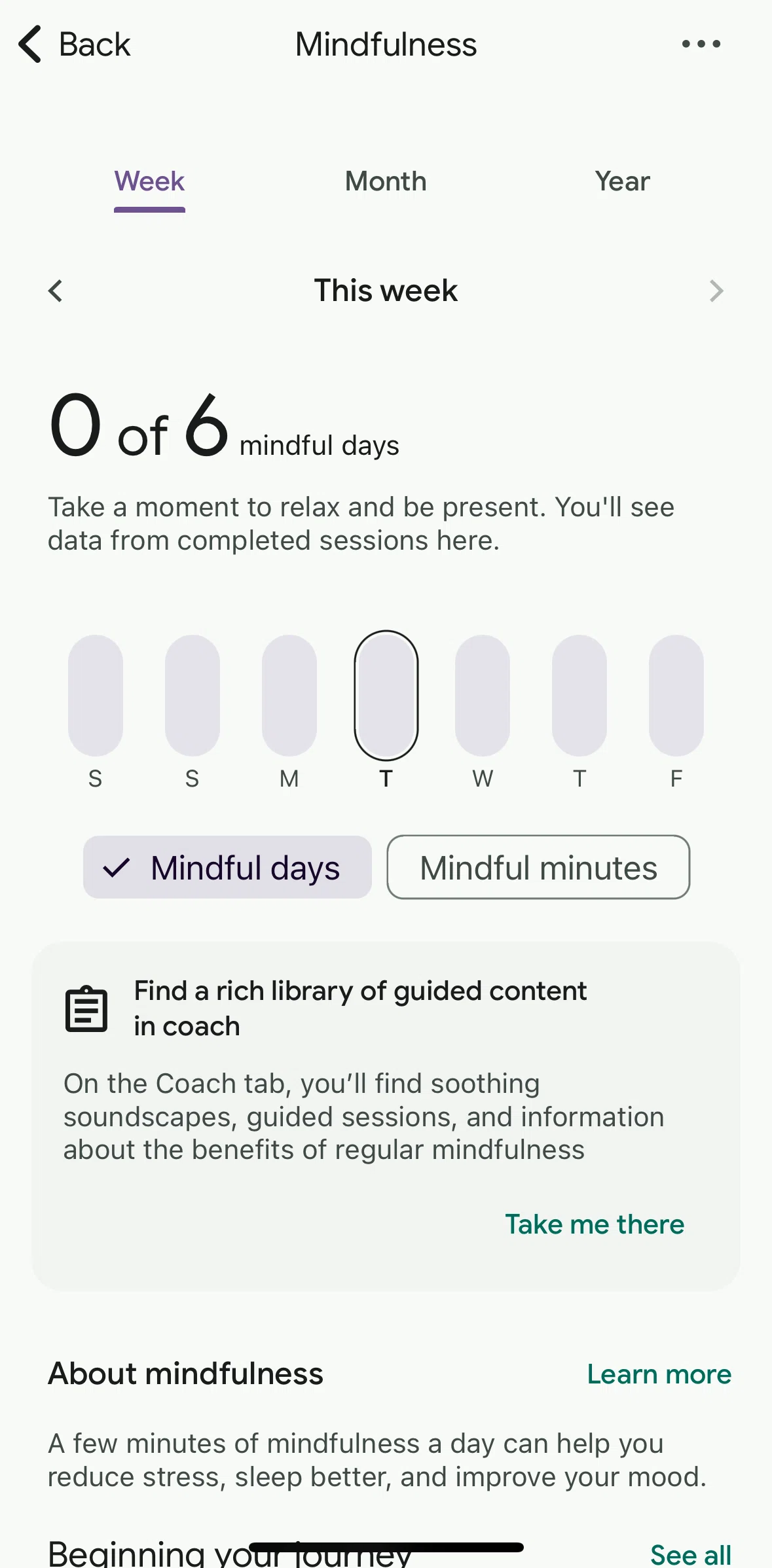Fitbit Screen screen in the Deleting data flow
