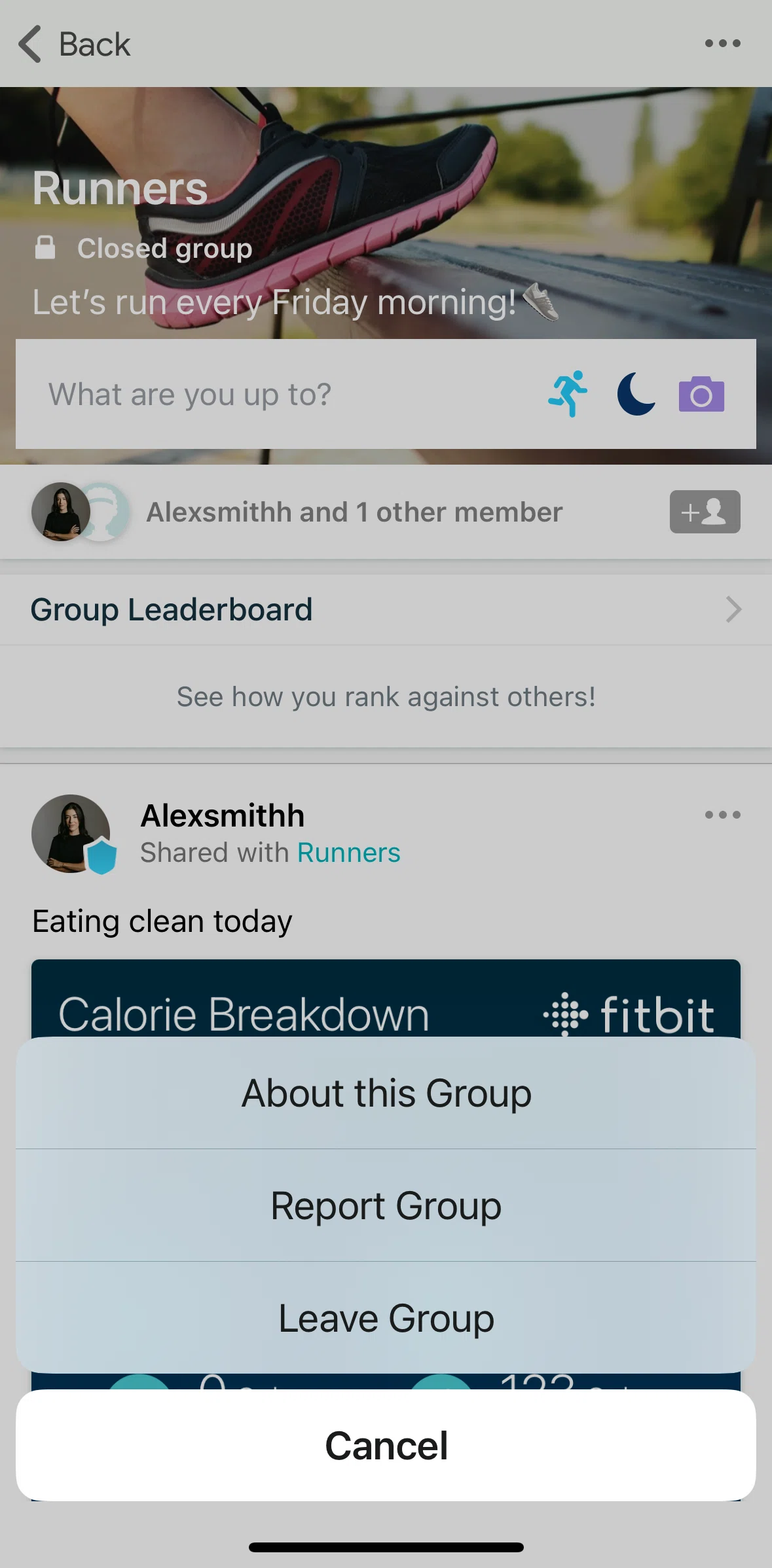 Fitbit Screen screen in the Leaving a group flow