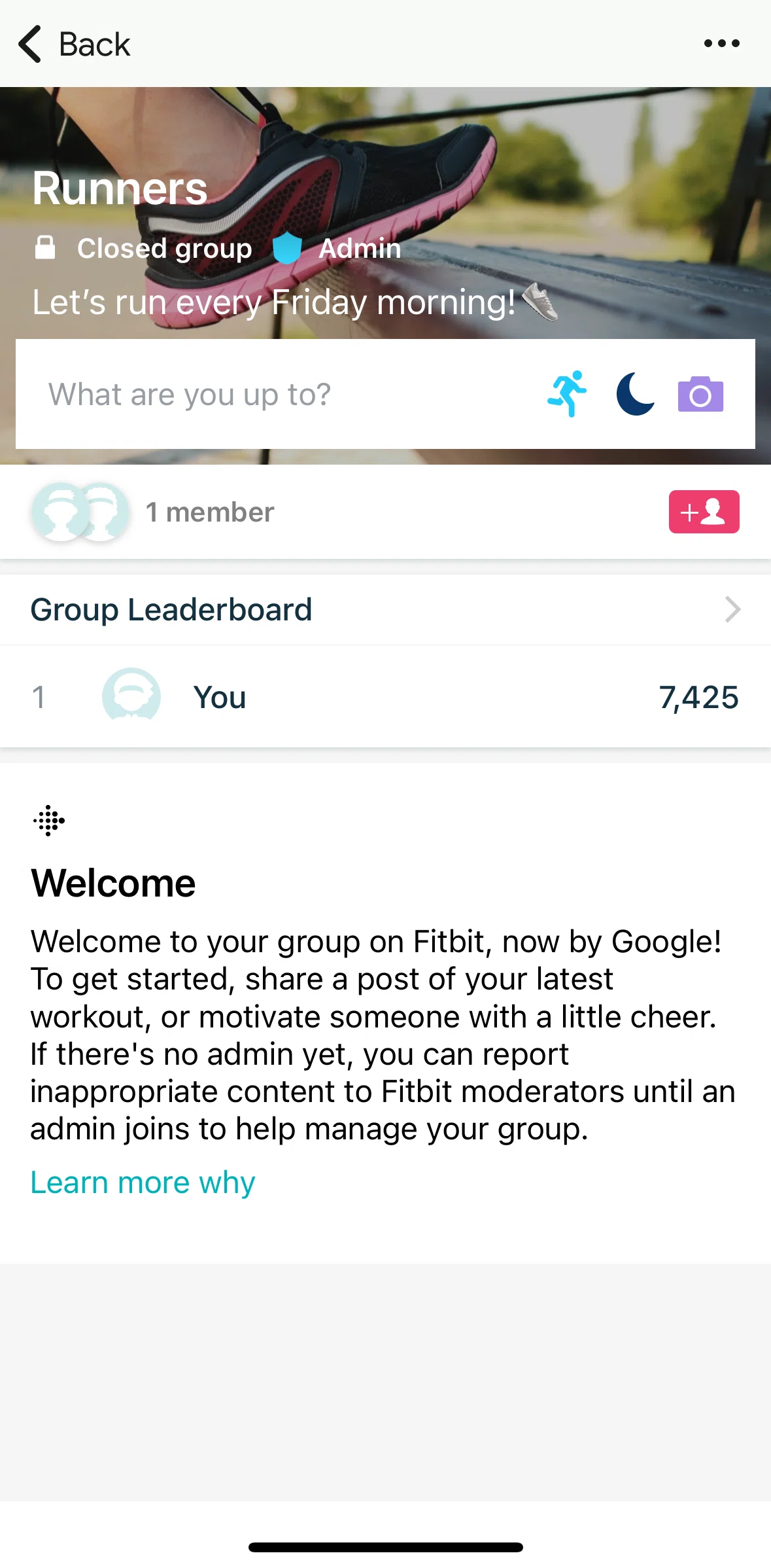Fitbit Screen screen in the Members flow