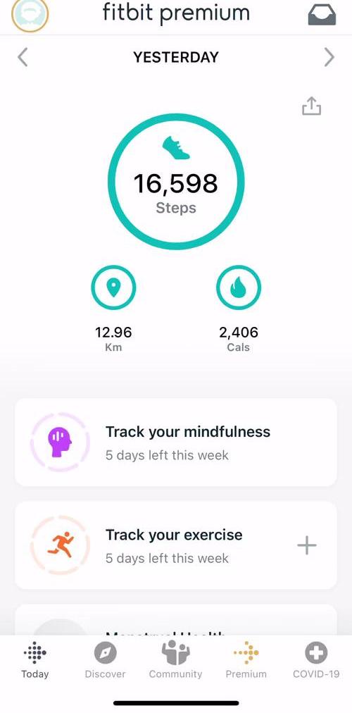 Fitbit Tracking Activity preview