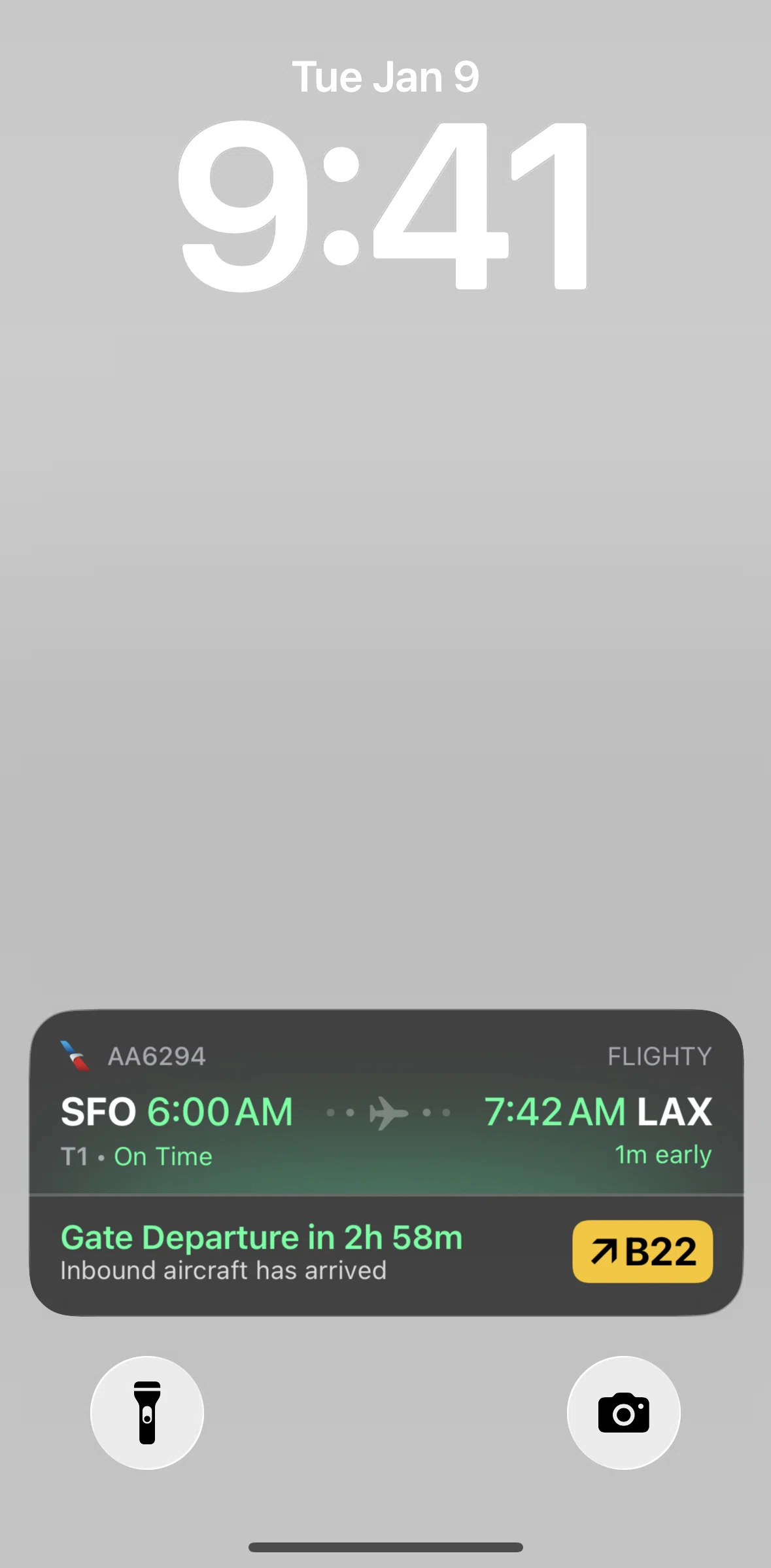 Flighty Screen screen in the Live Activities flow