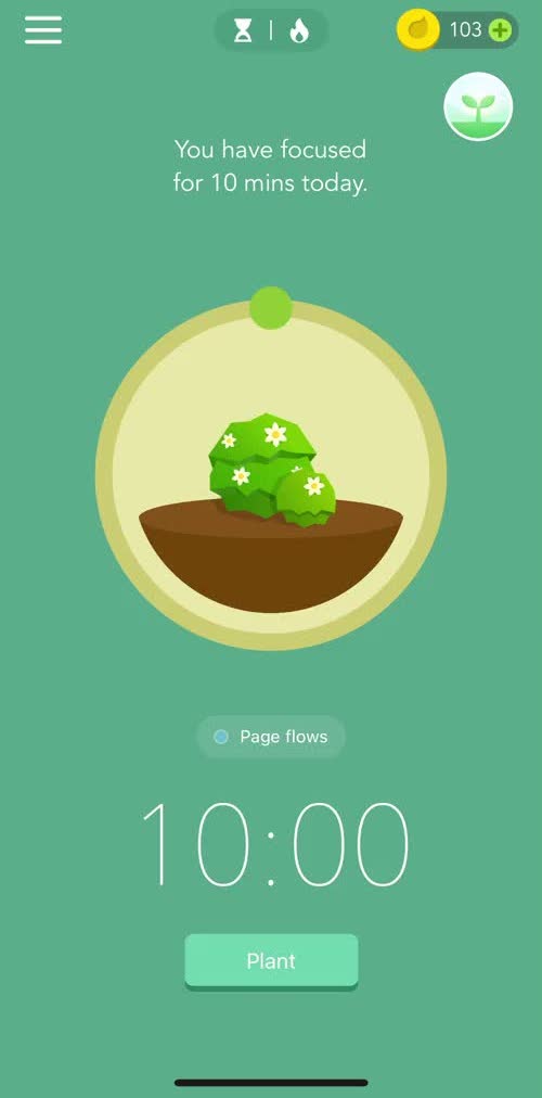 Forest Timer screen in the General Browsing flow