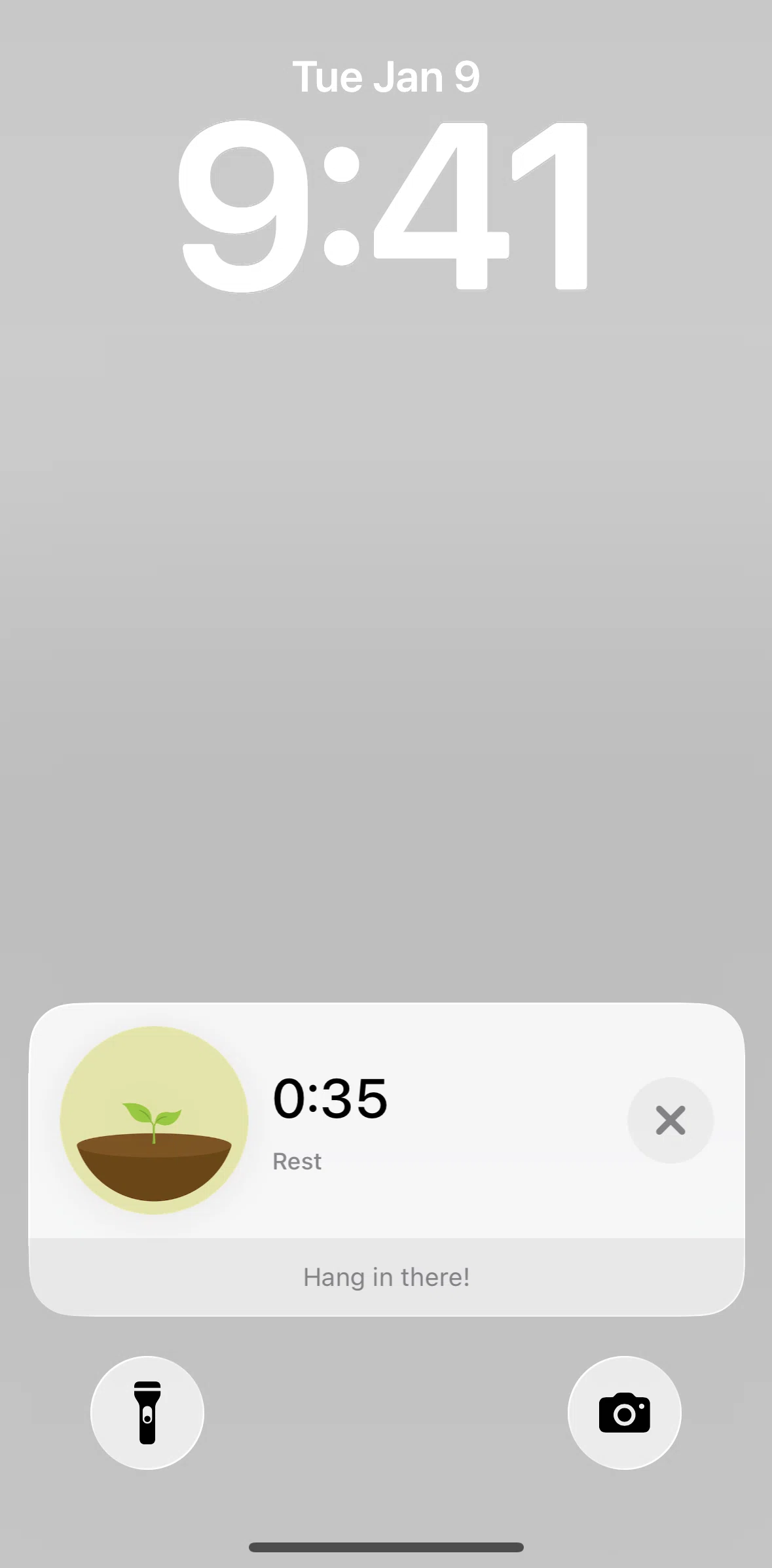 Forest Screen screen in the Live Activities flow