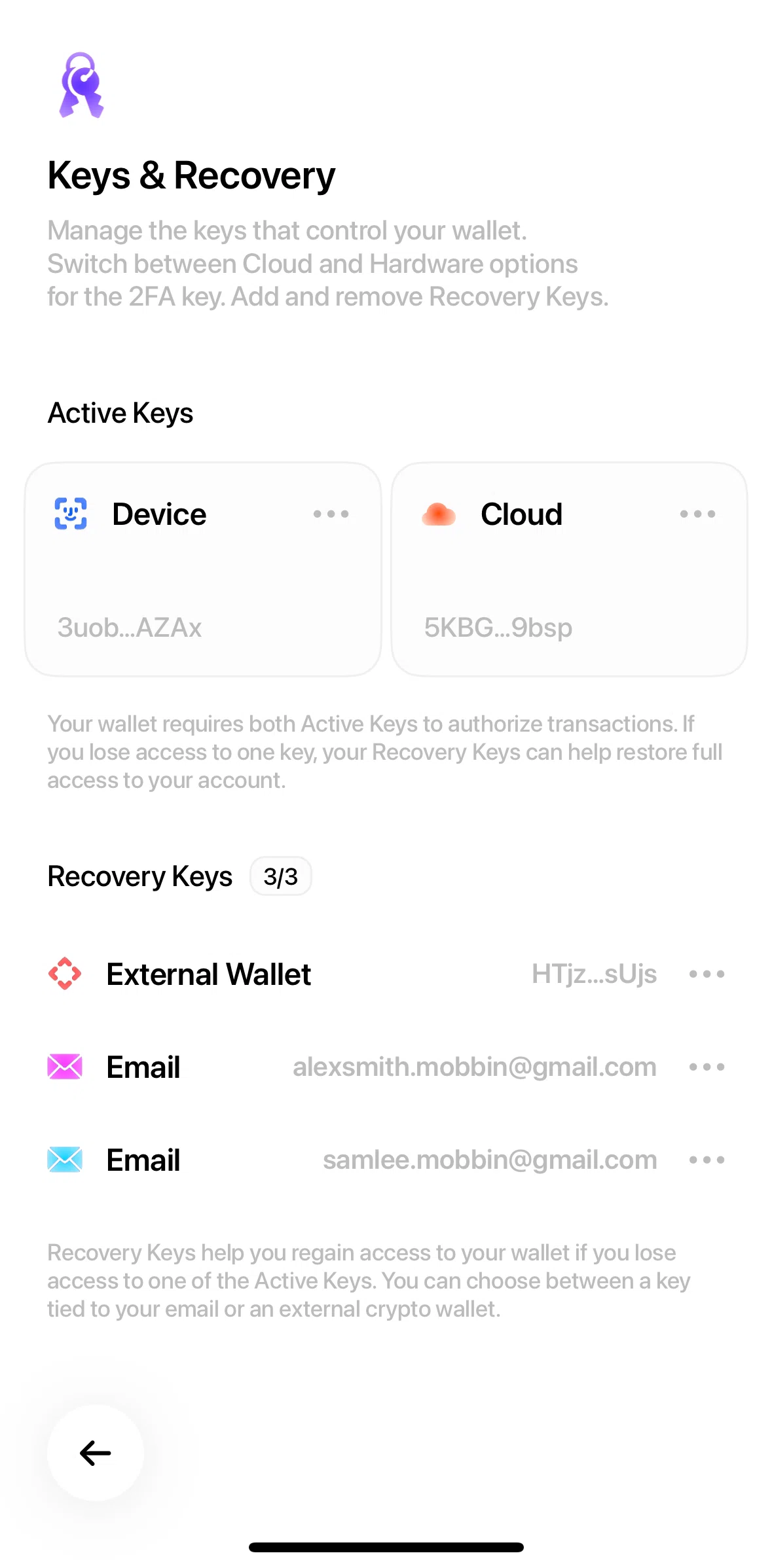 Fuse Screen screen in the Deleting a recovery key flow