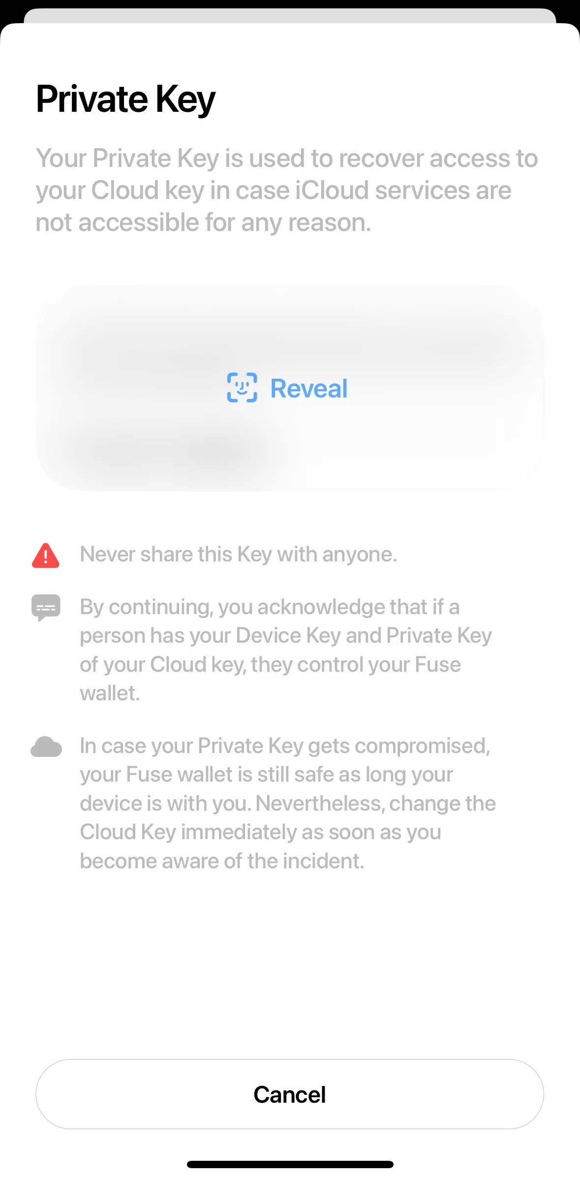 Fuse Screen screen in the Revealing back up key flow