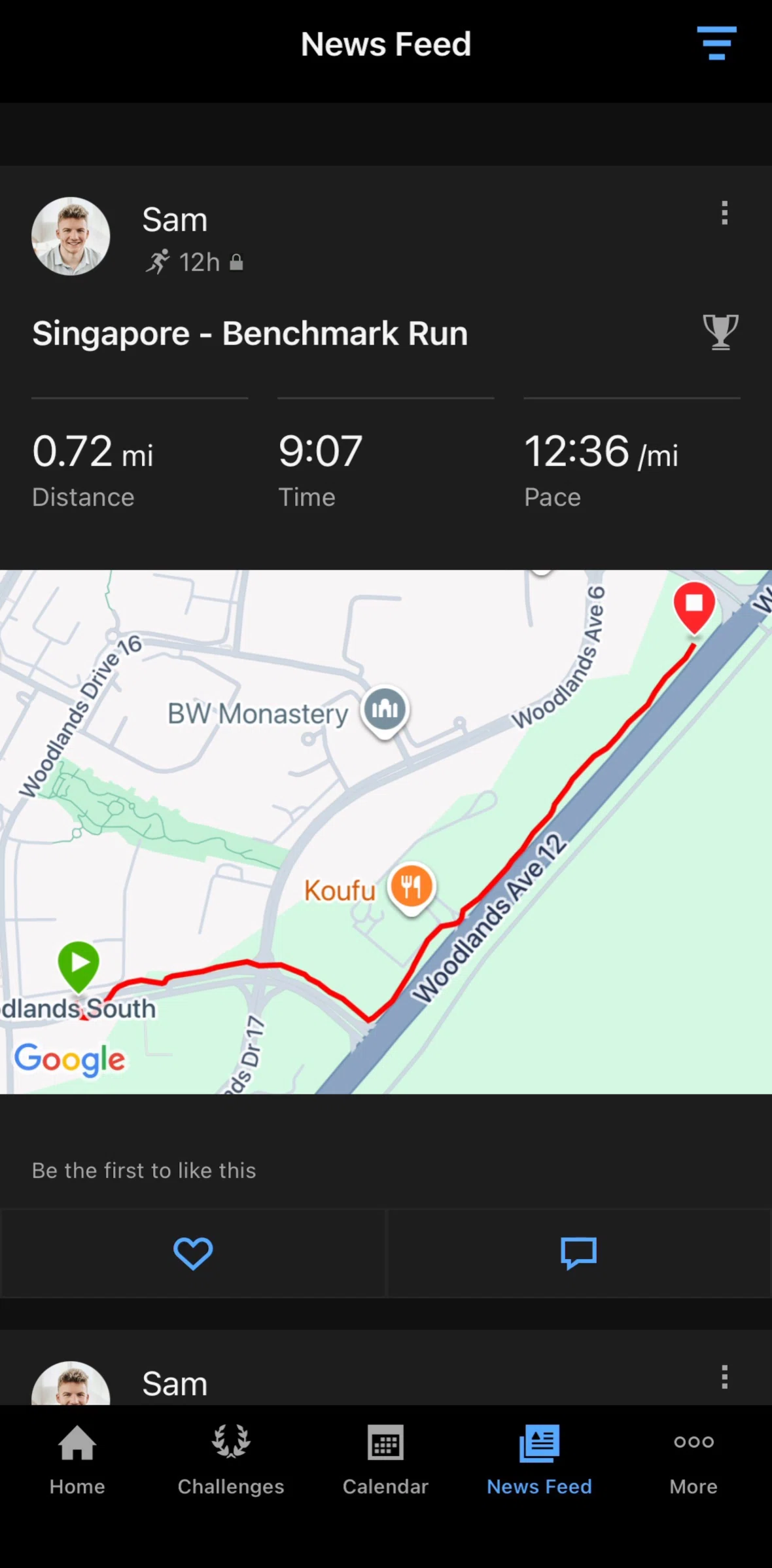 Garmin Connect Screen screen in the Editing an activity privacy flow