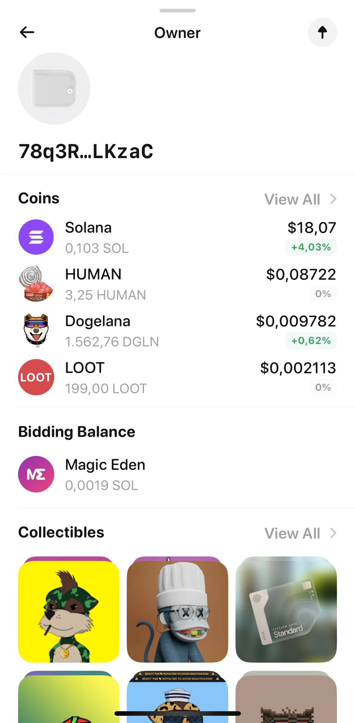 Glow Screen screen in the Owner coins flow