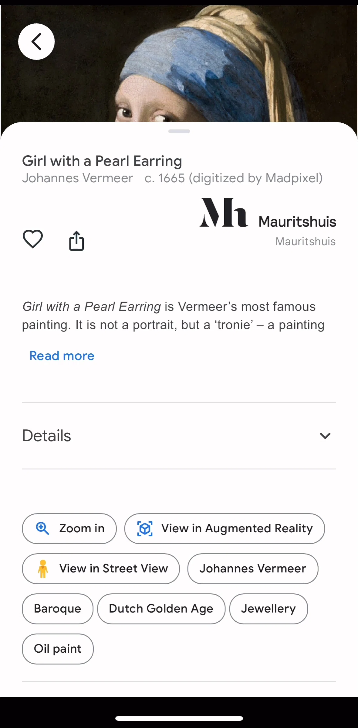 Google Arts & Culture Screen screen in the Adding an art to favorites flow