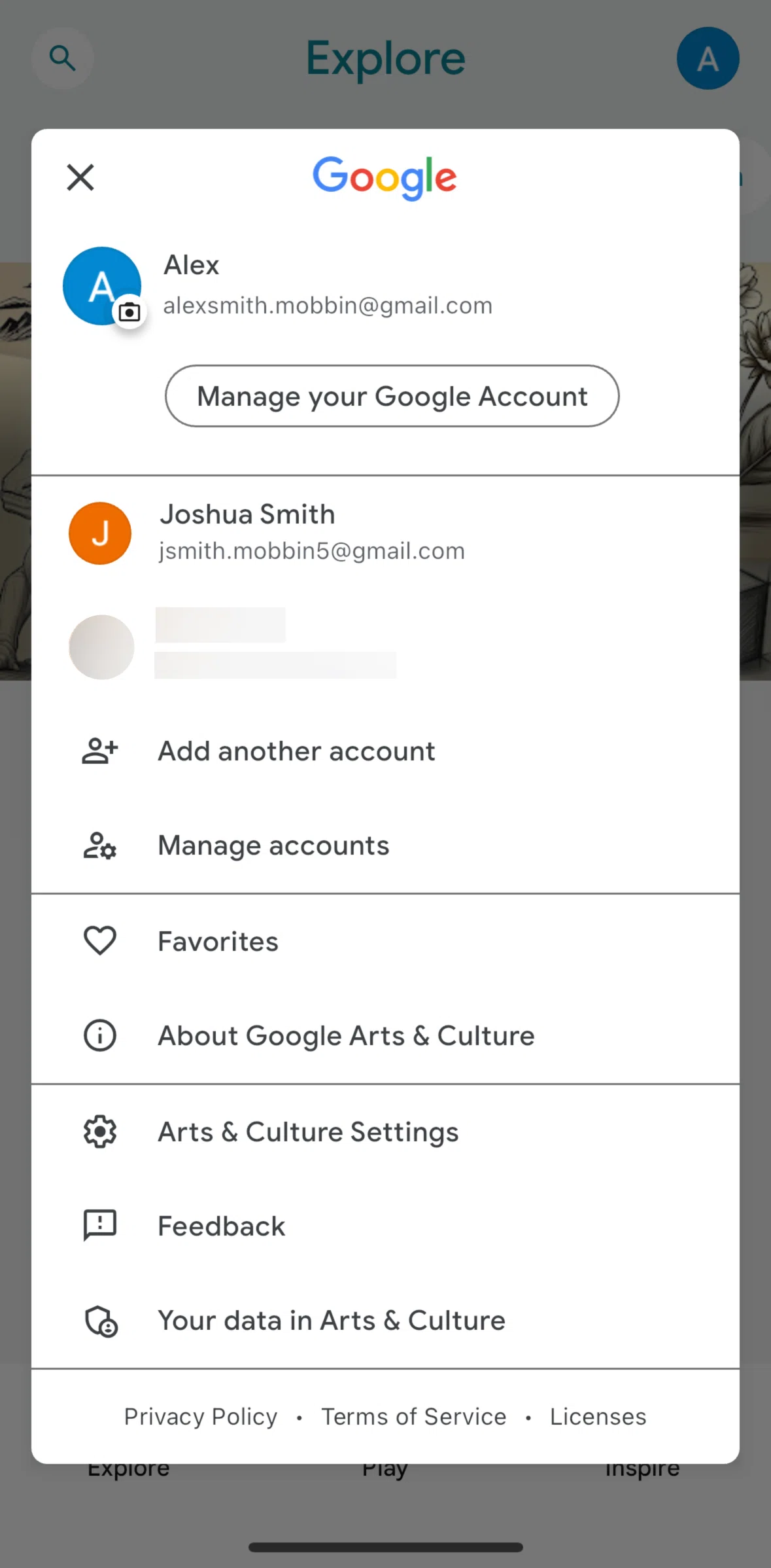 Google Arts & Culture Screen screen in the Arts & Culture settings flow