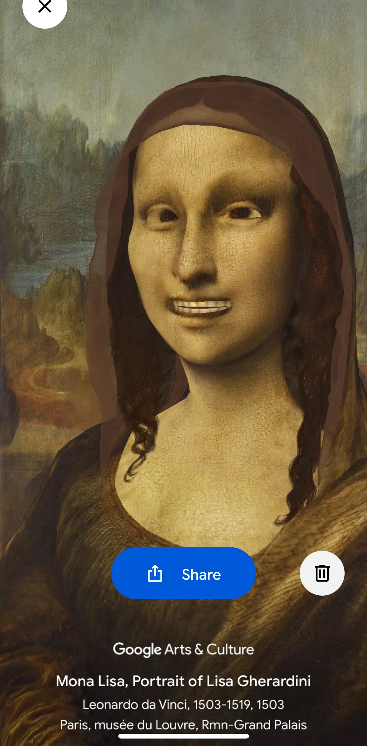 Google Arts & Culture Screen screen in the Deleting photo flow