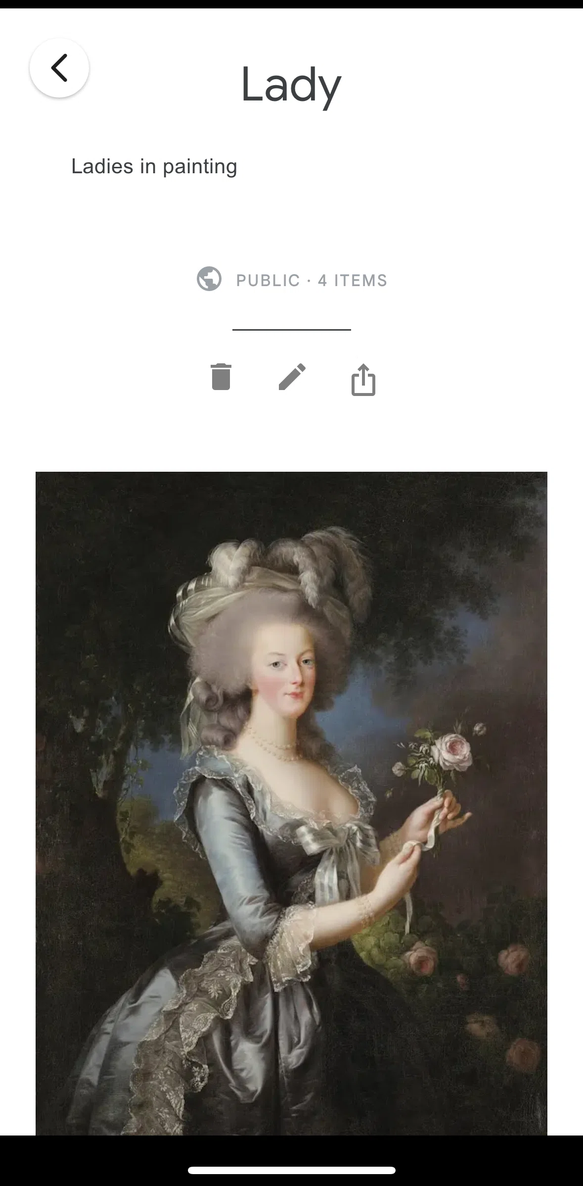 Google Arts & Culture Screen screen in the Editing a gallery flow