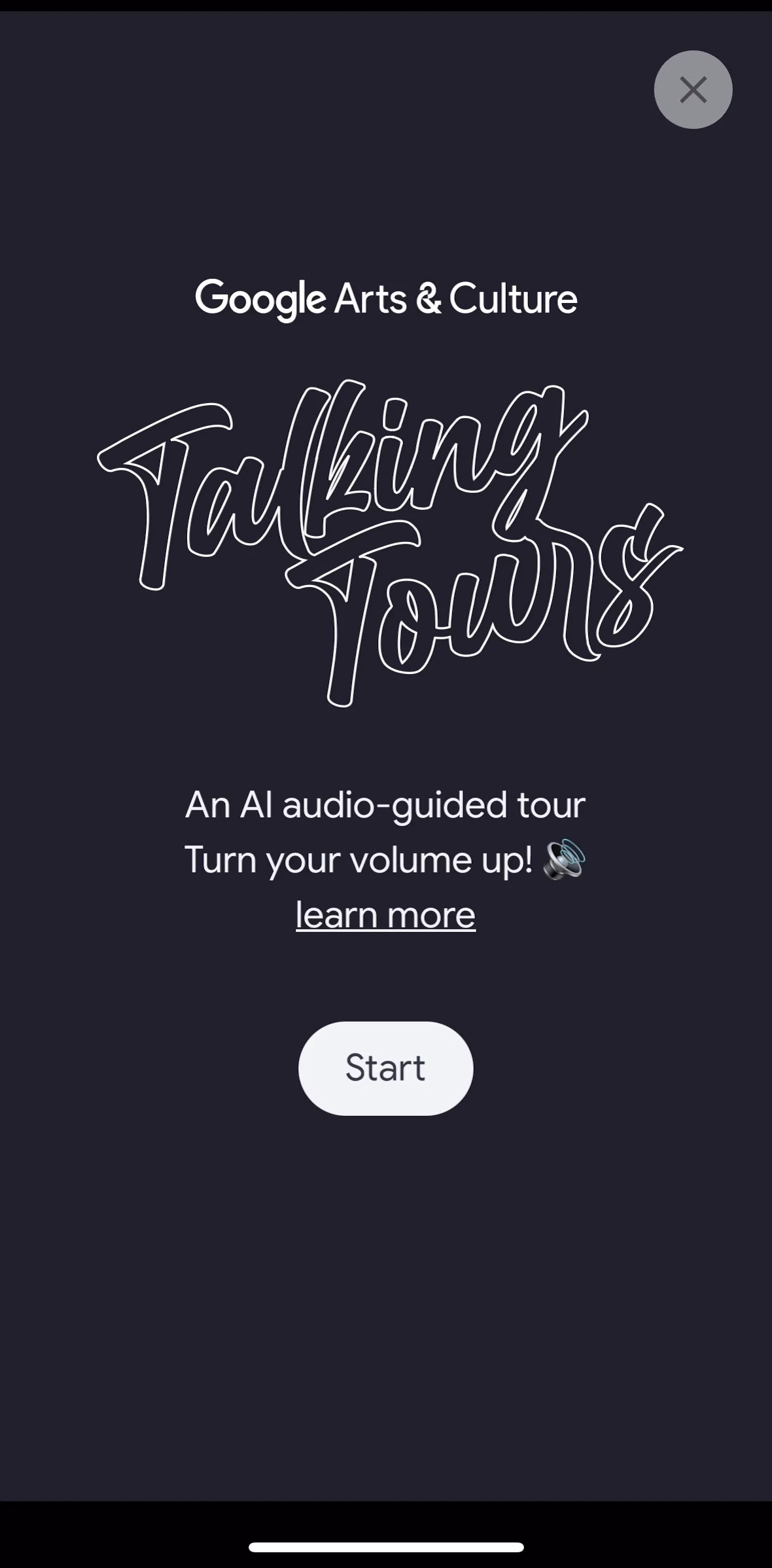 Google Arts & Culture Screen screen in the Learn more flow