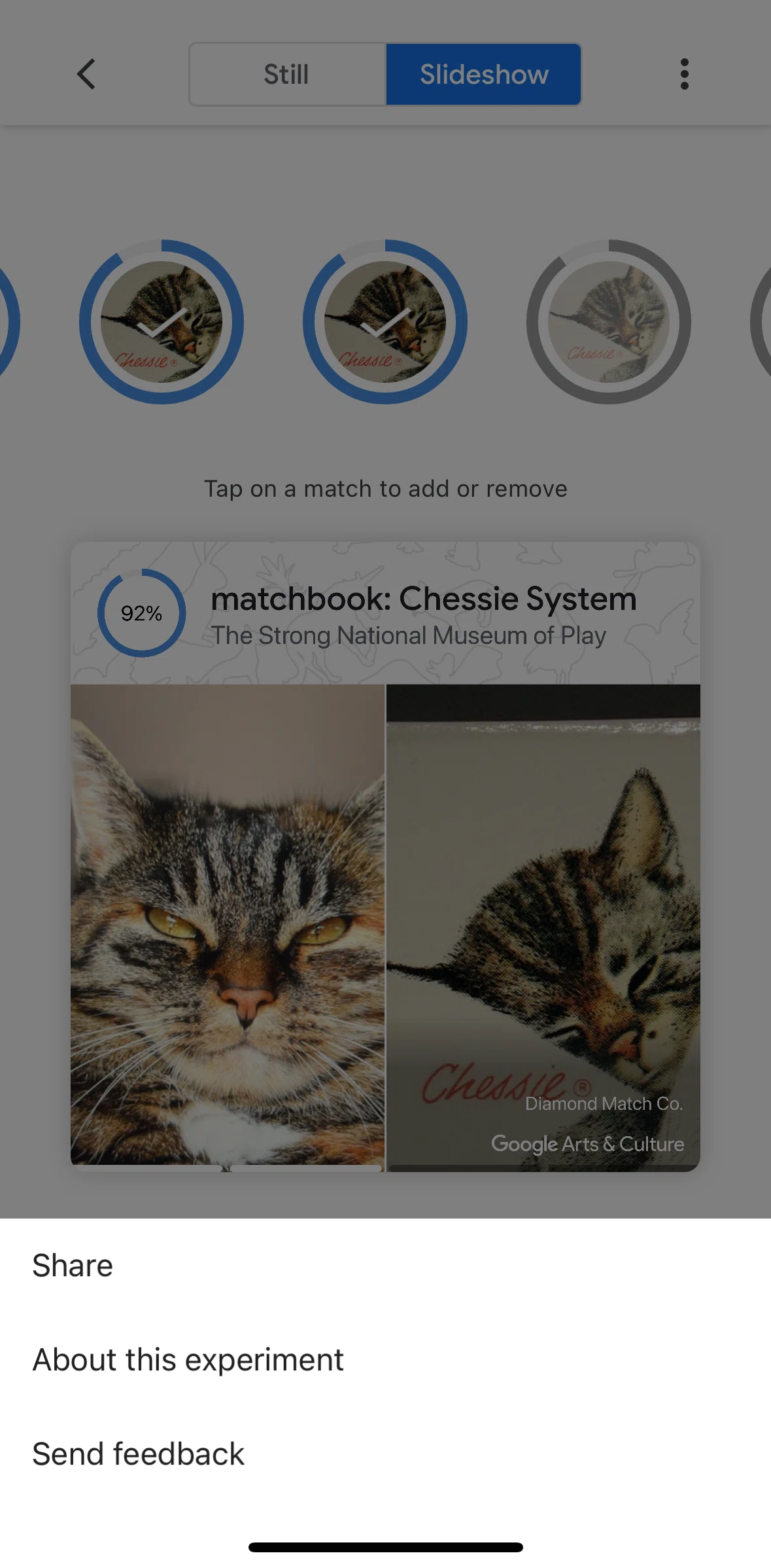 Google Arts & Culture Screen screen in the Send feedback flow